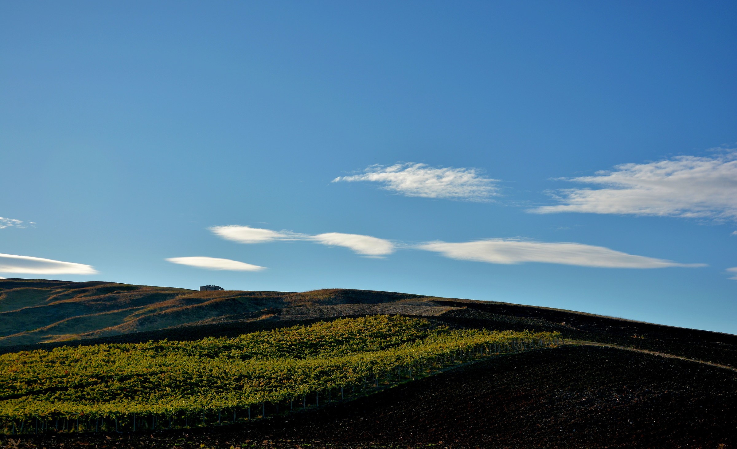 Serene After-Graduation