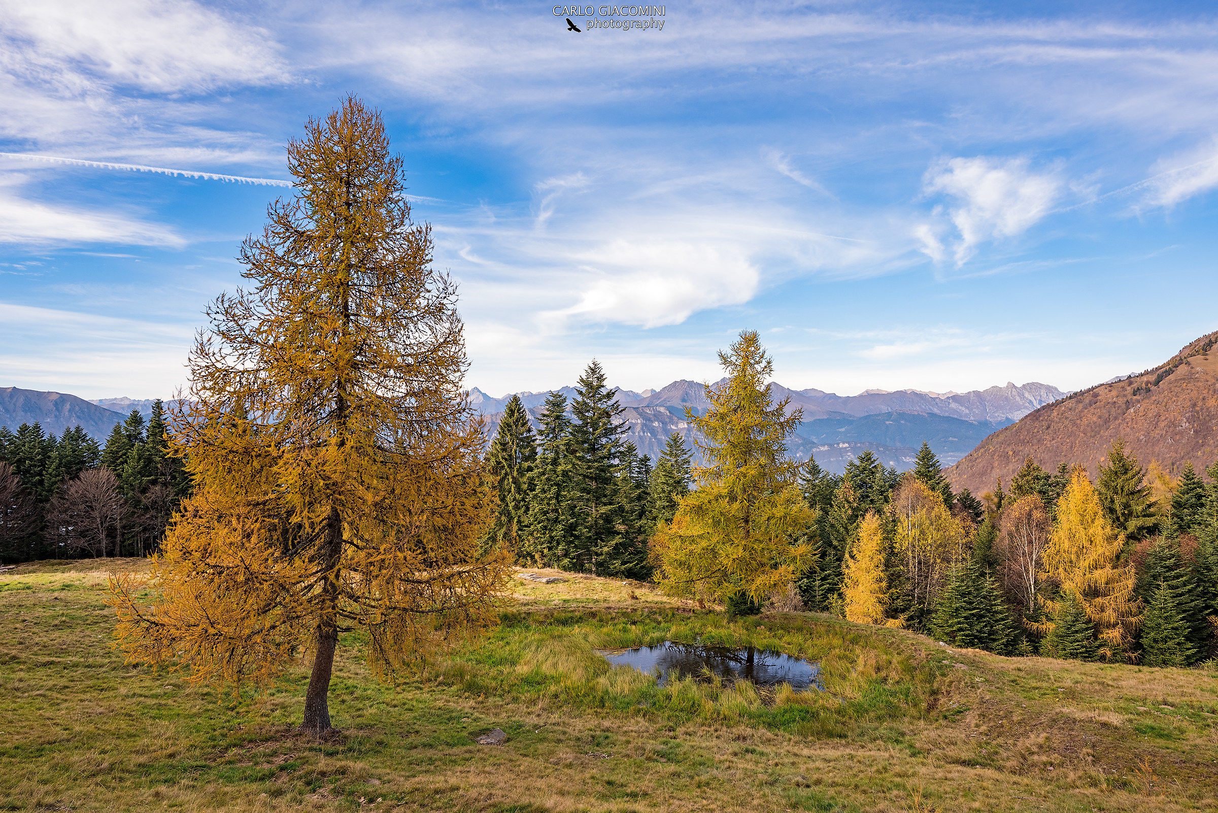 Colori d'autunno
