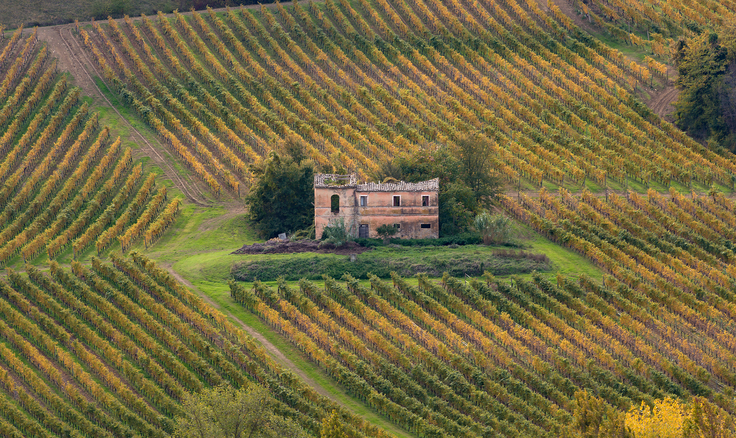 campagna marchigiana
