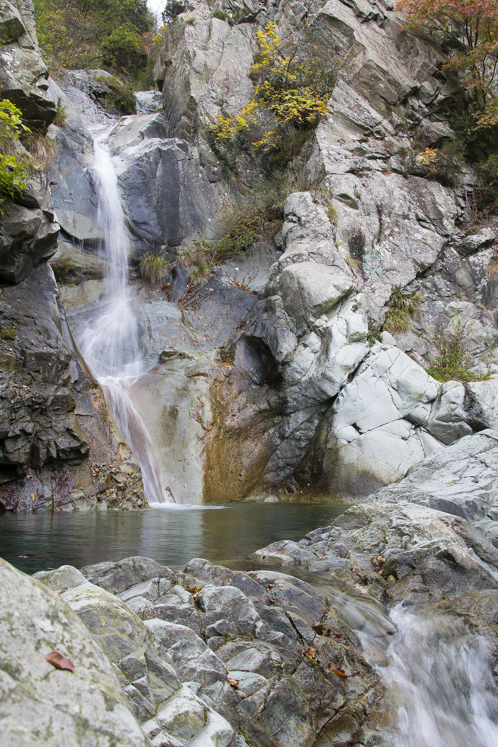 Rio Gandolfi - Genova Pegli