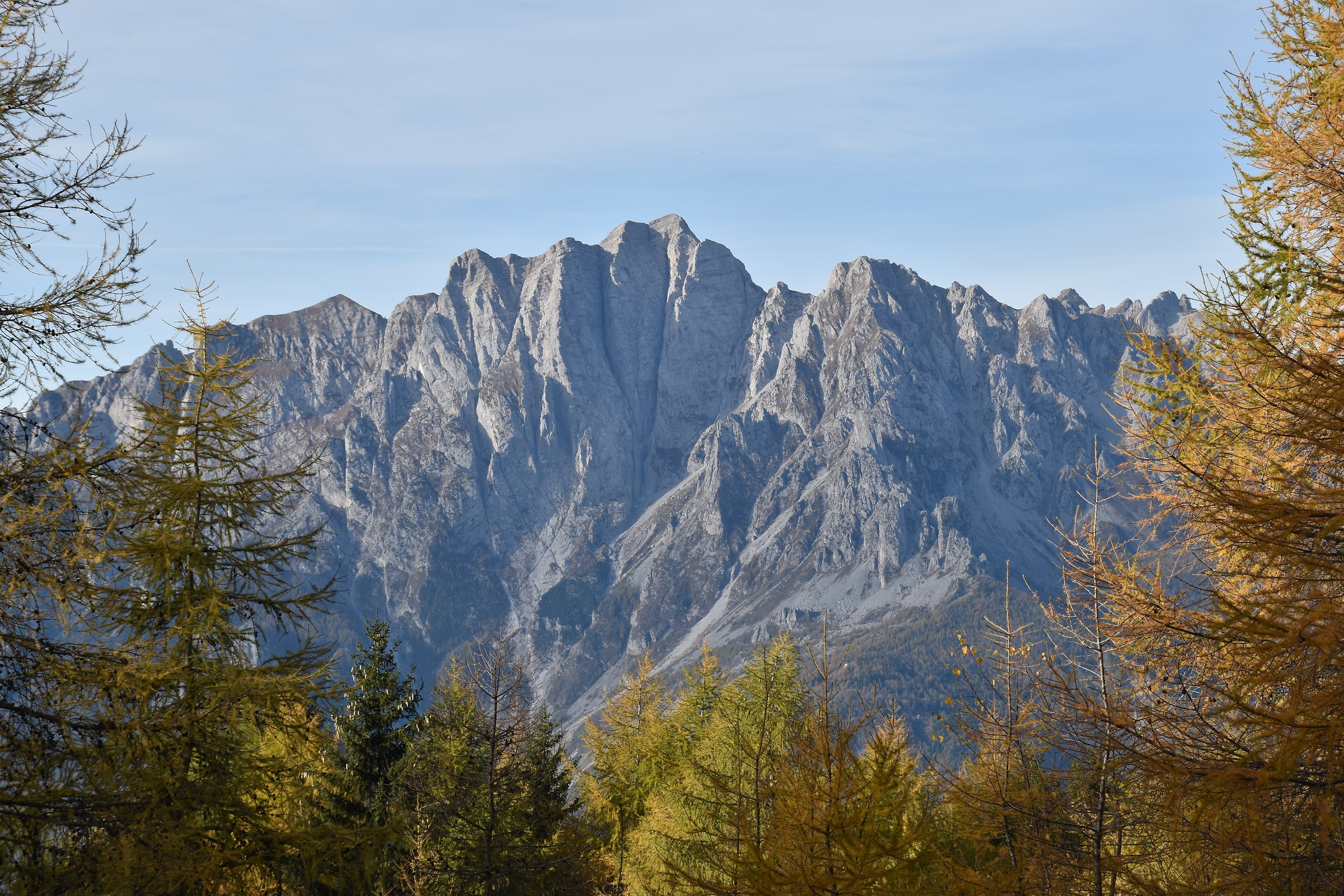 Concarena in the frame