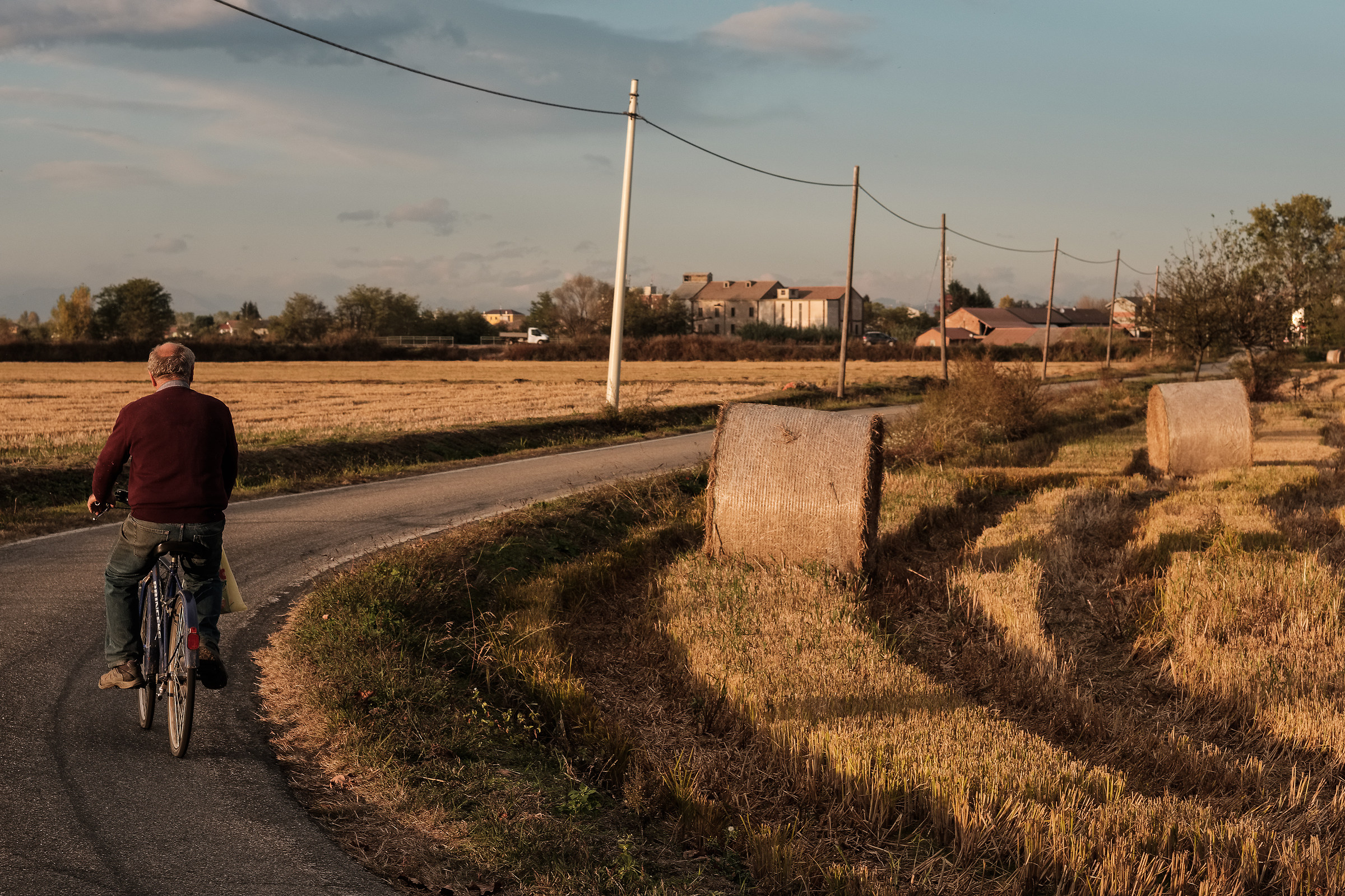 Around Vercelli, among the rice paddies.