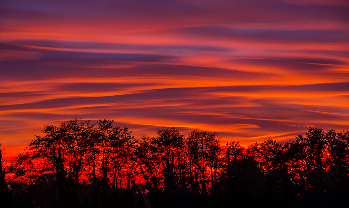 Lombard Sunset 2 (October 29, 2017)