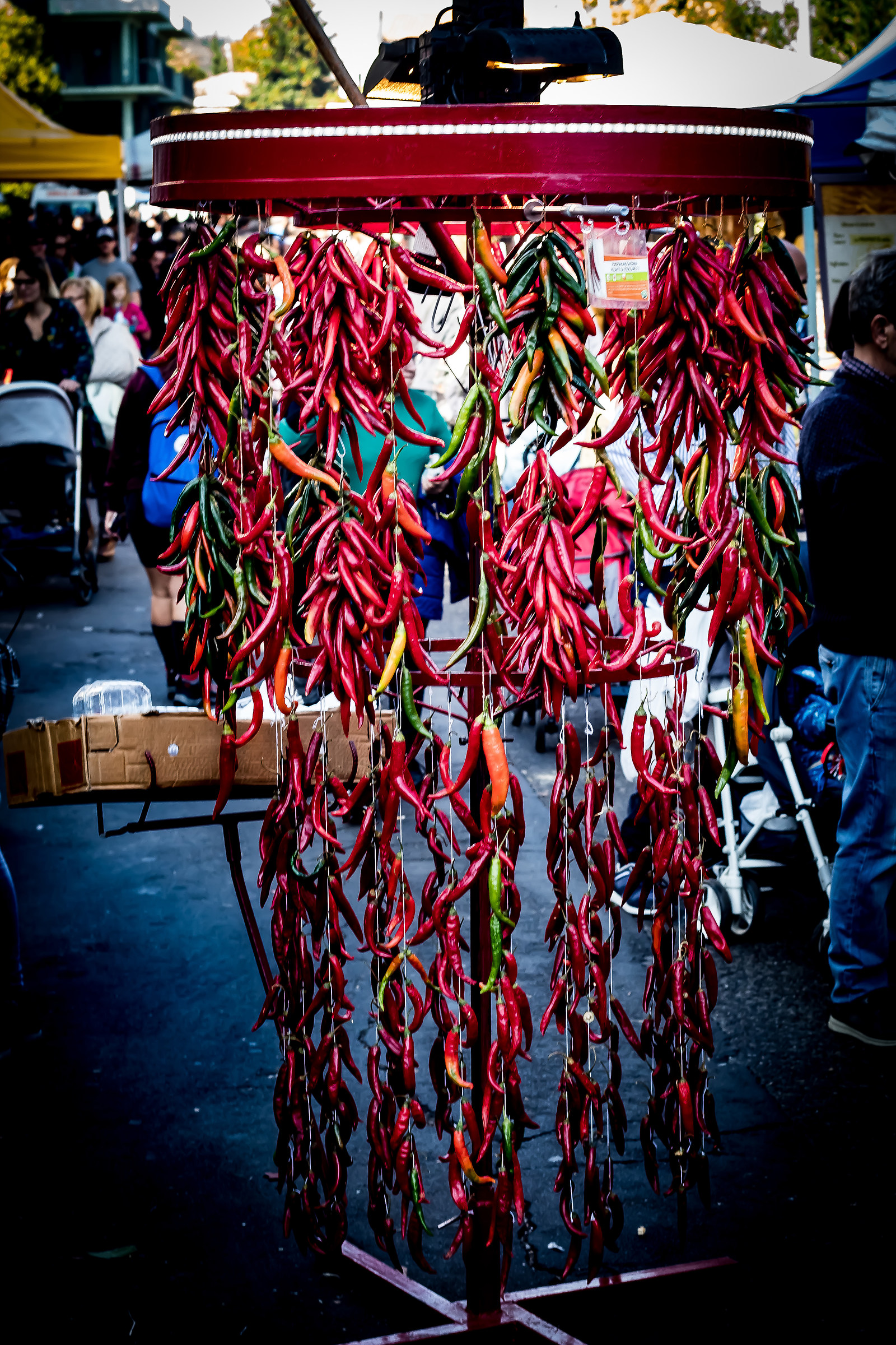 Untitled Photo