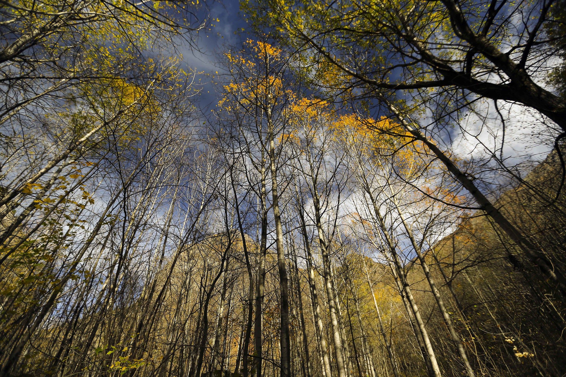 Autumn in the valley