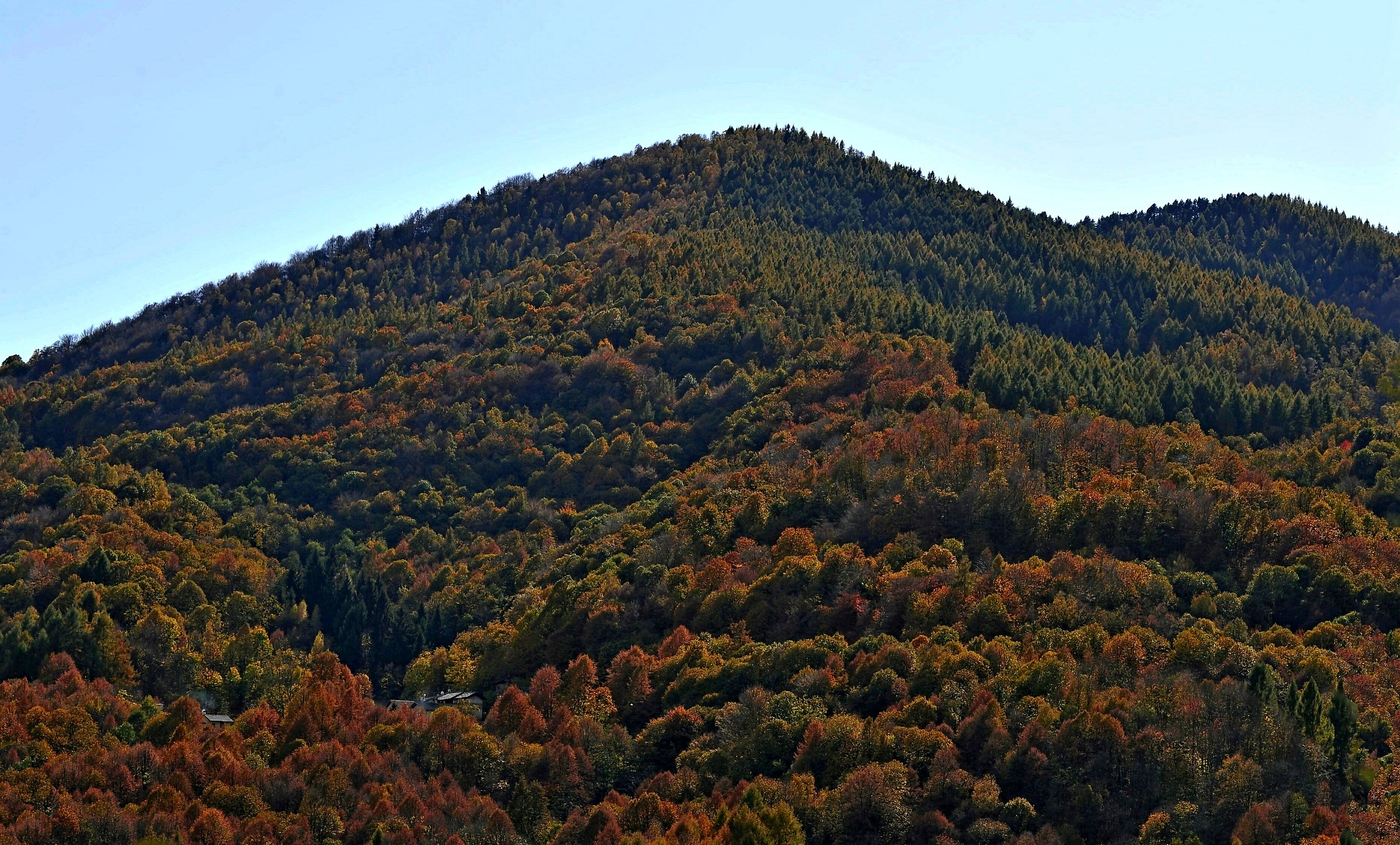 Autumn in the countryside