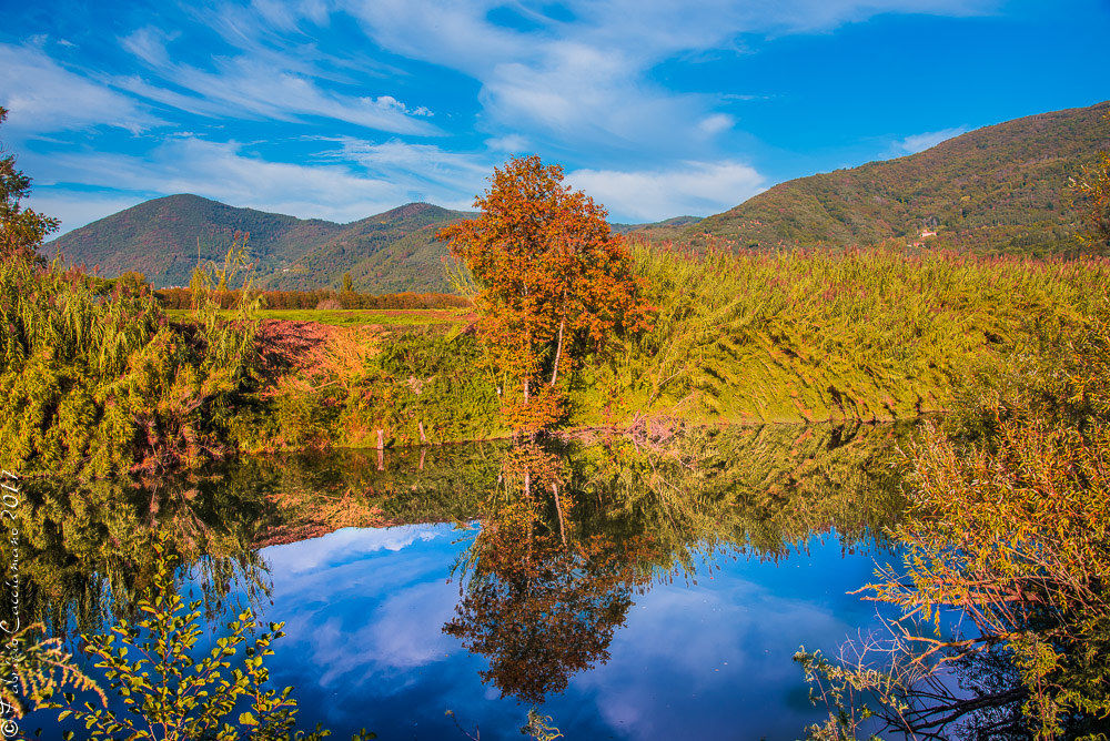 Autunno sulle rive del Serchio