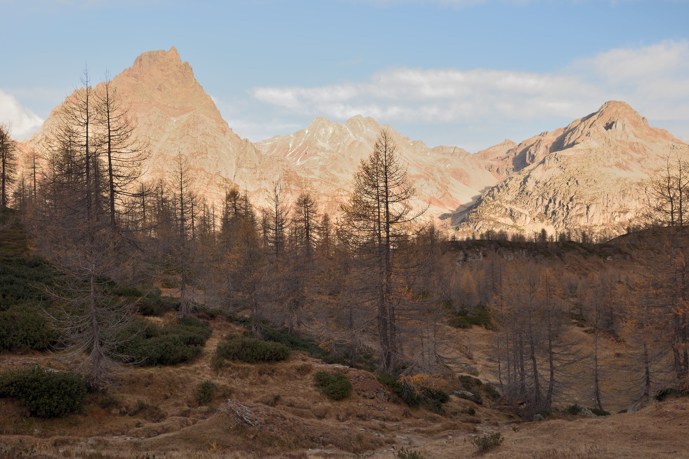 from the Sangiatto towards the Alpe Forno