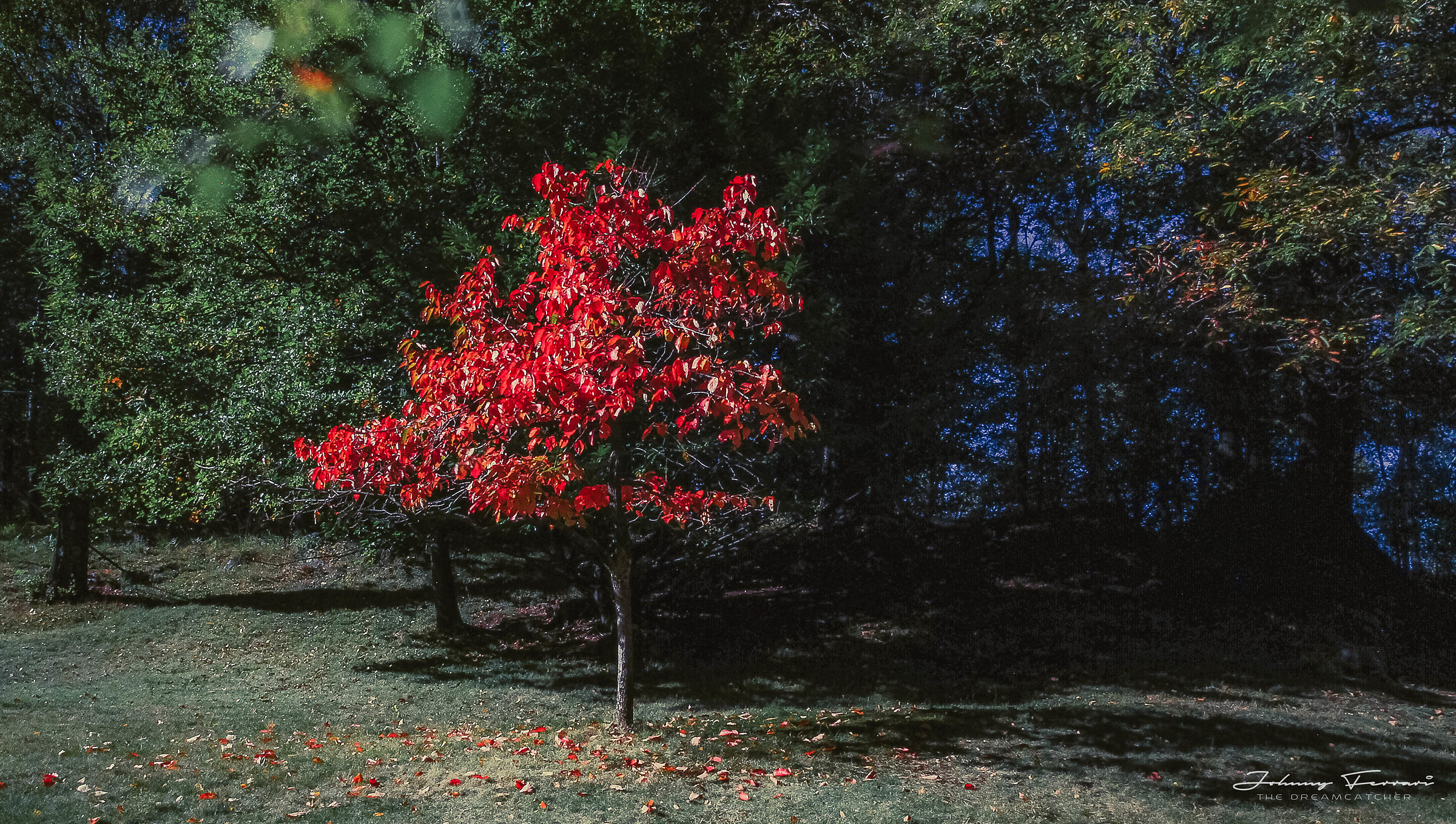 A trip to Sass from Grum ...