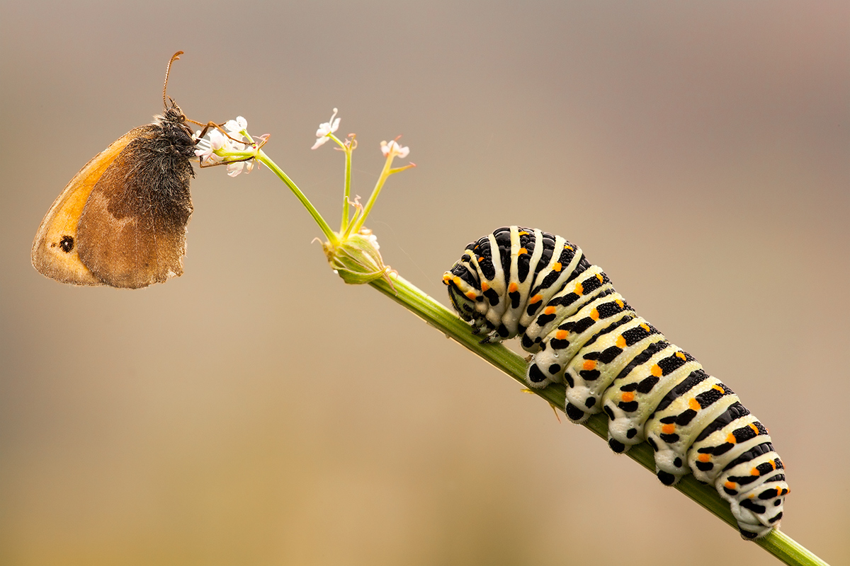 Help!!!!! I'm falling down...