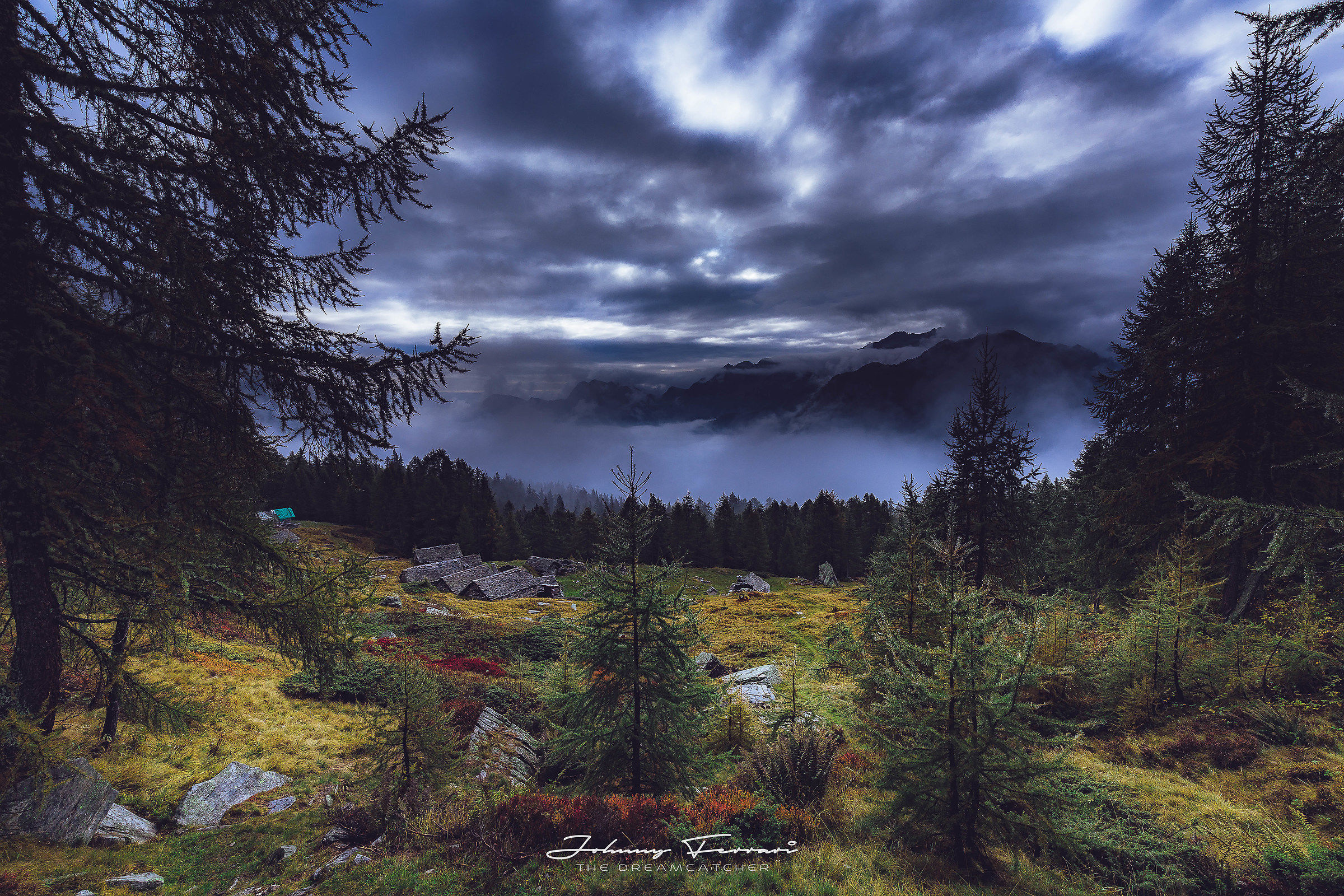 Walking in the woods ...