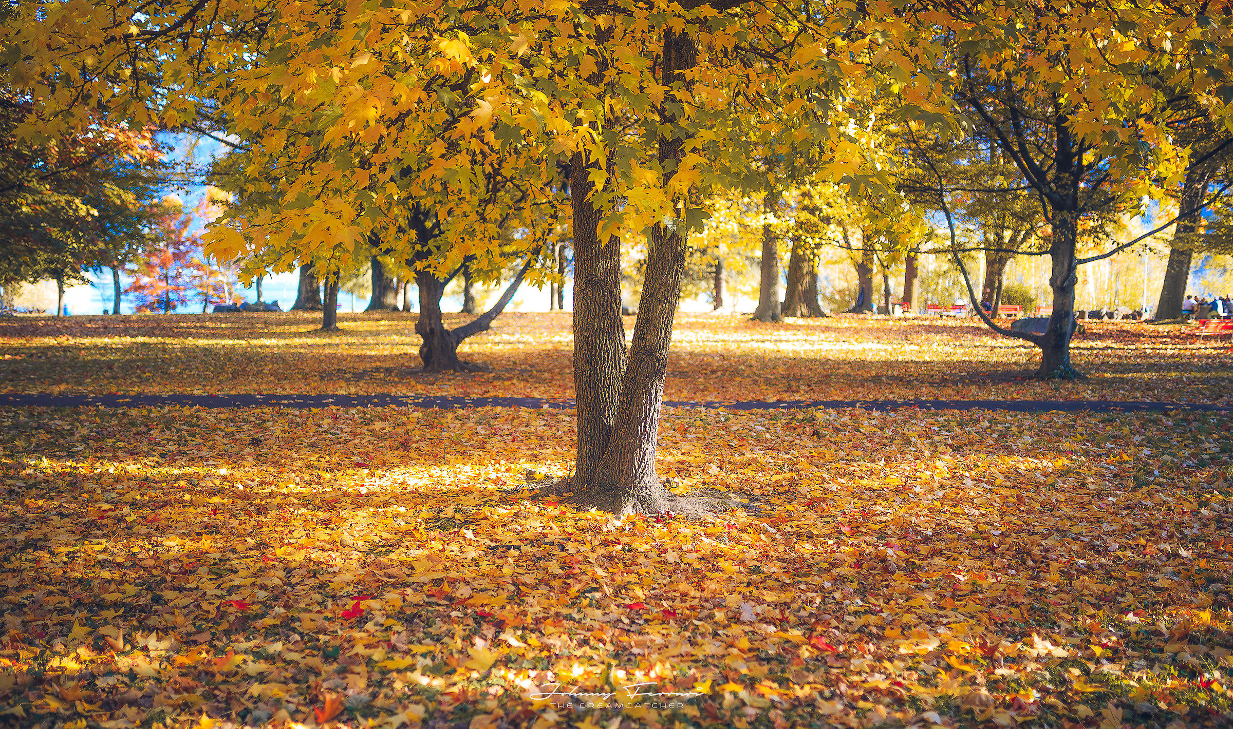The colors of this magical autumn ...