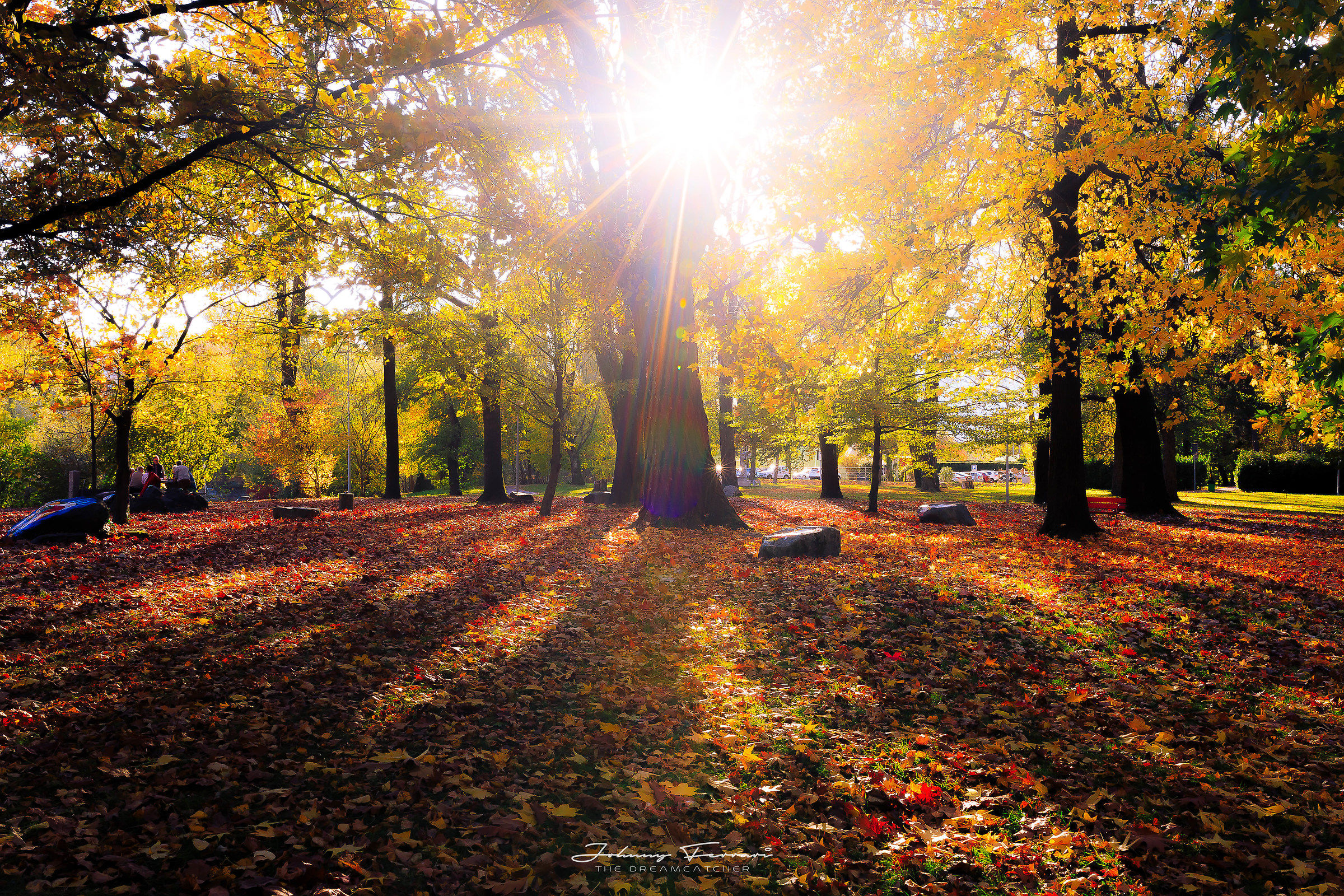 The colors of this magical autumn ...