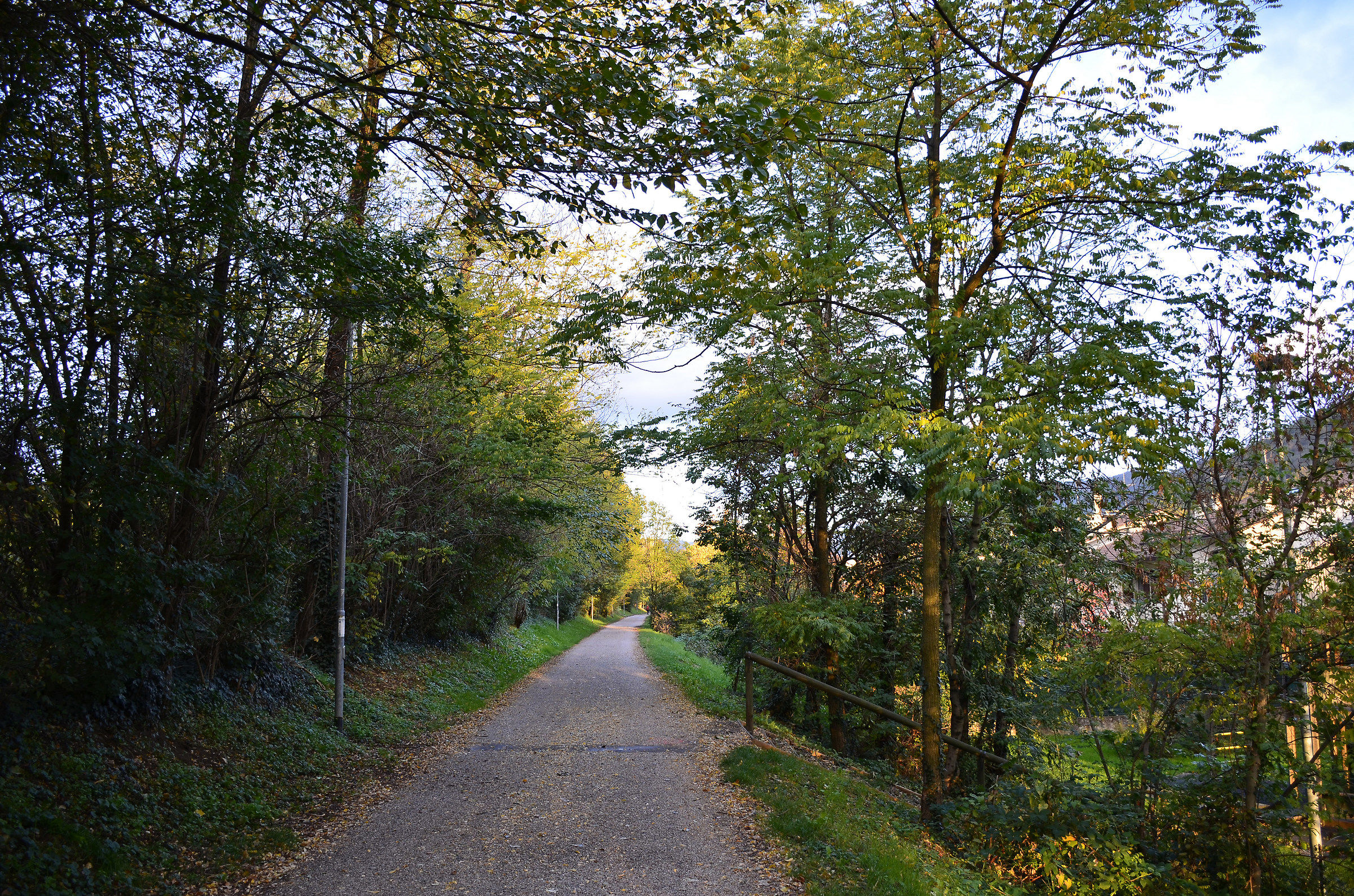 Passeggiata in mezzo alla natura