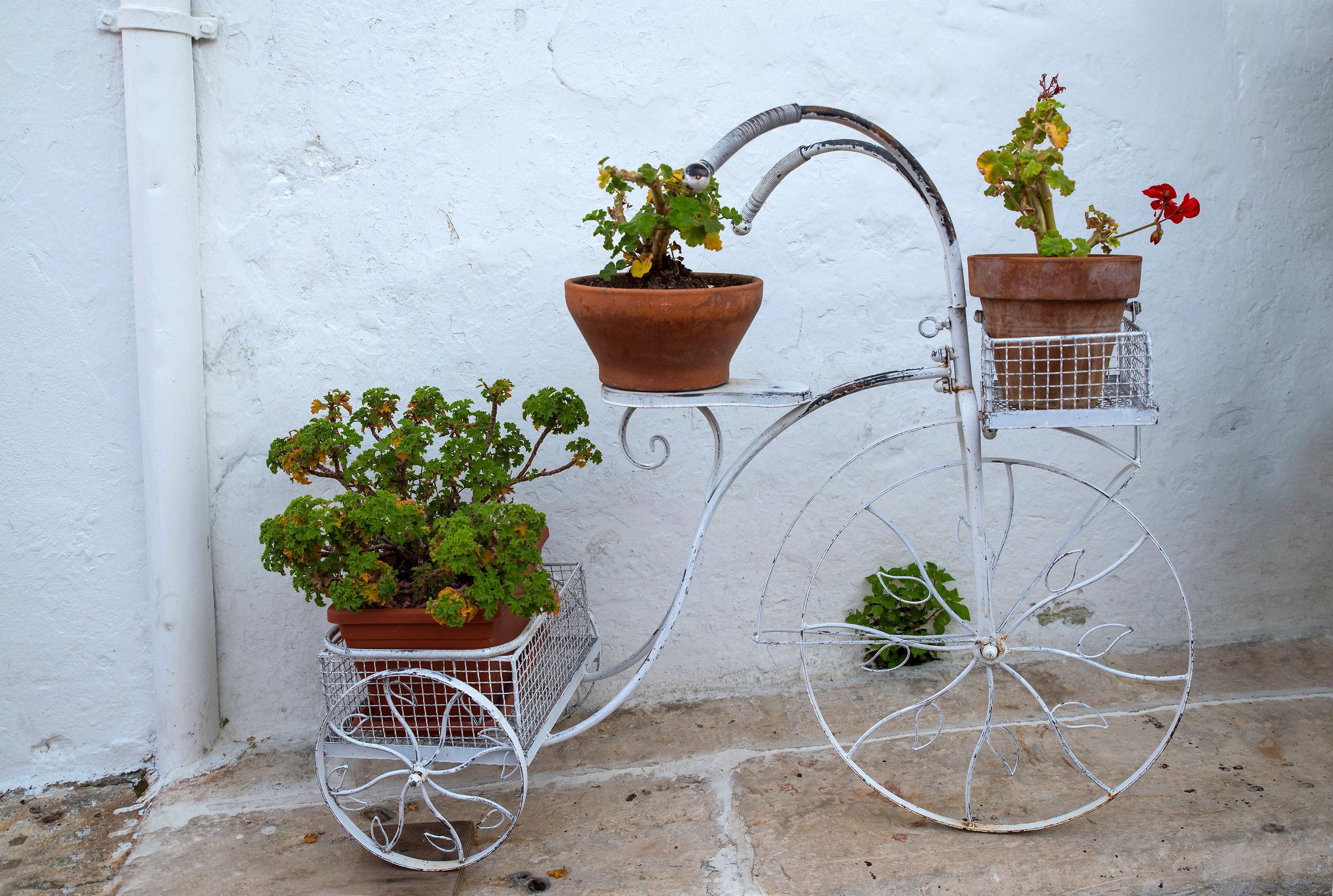 The Tricycle Gets Vases