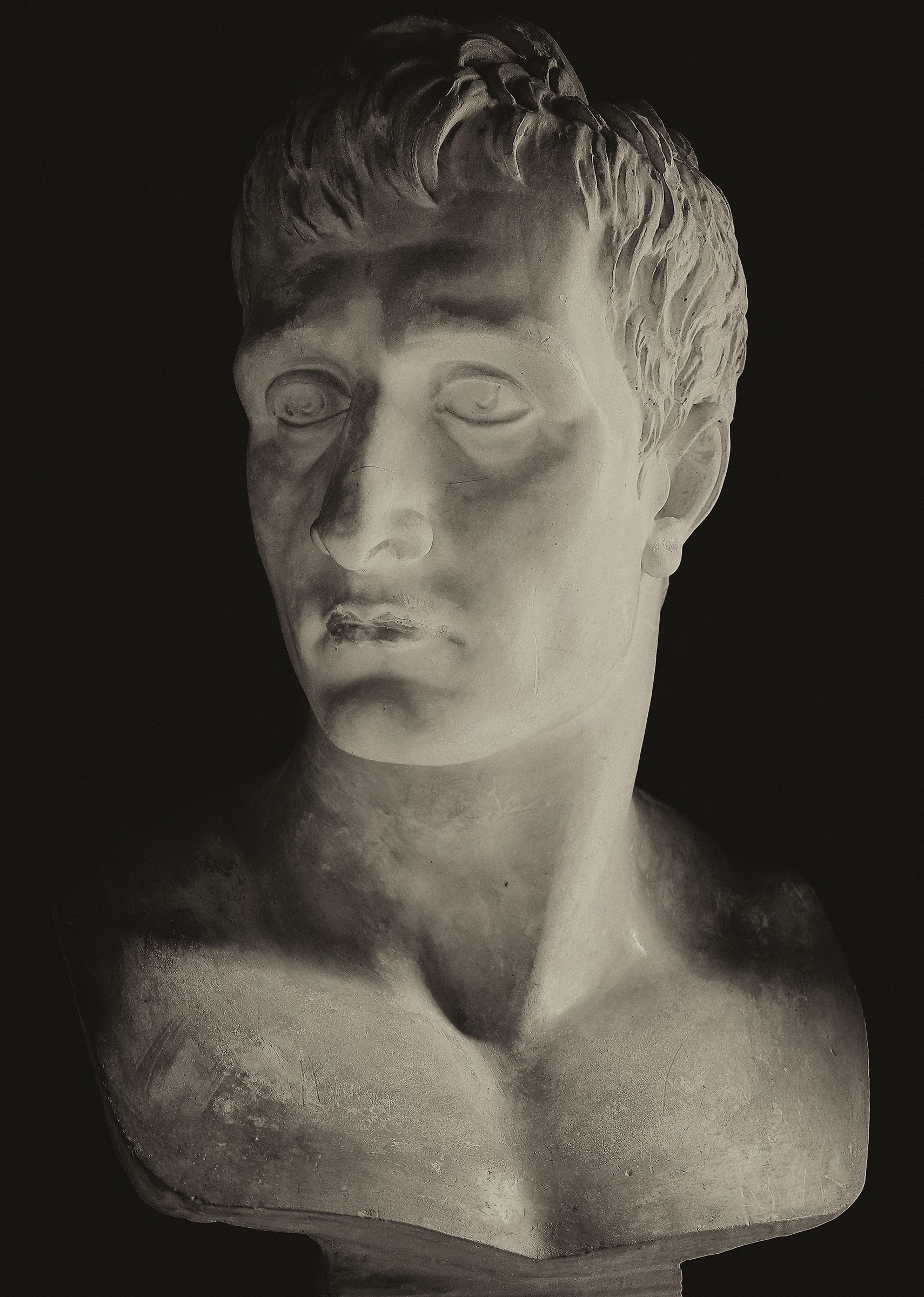 Villa Baruzziana. Busto.