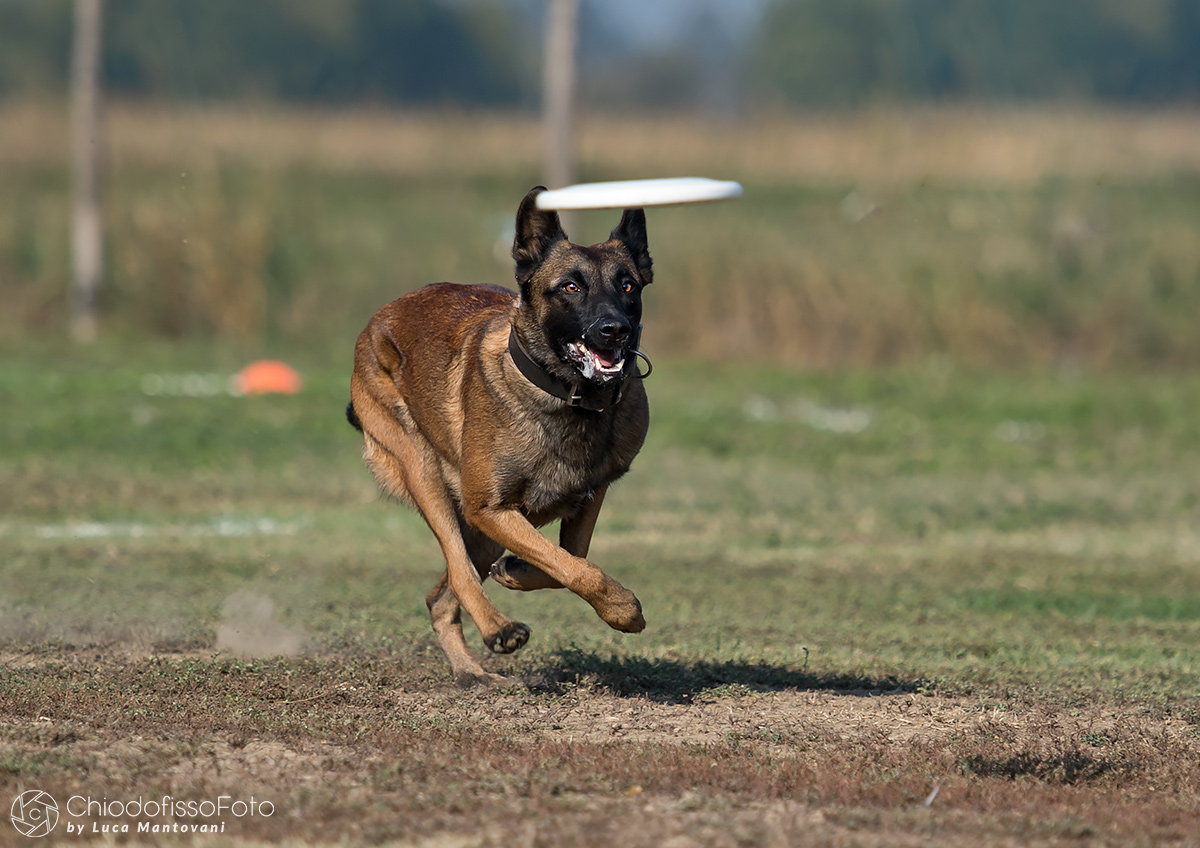 I already have the water in the mouth ....