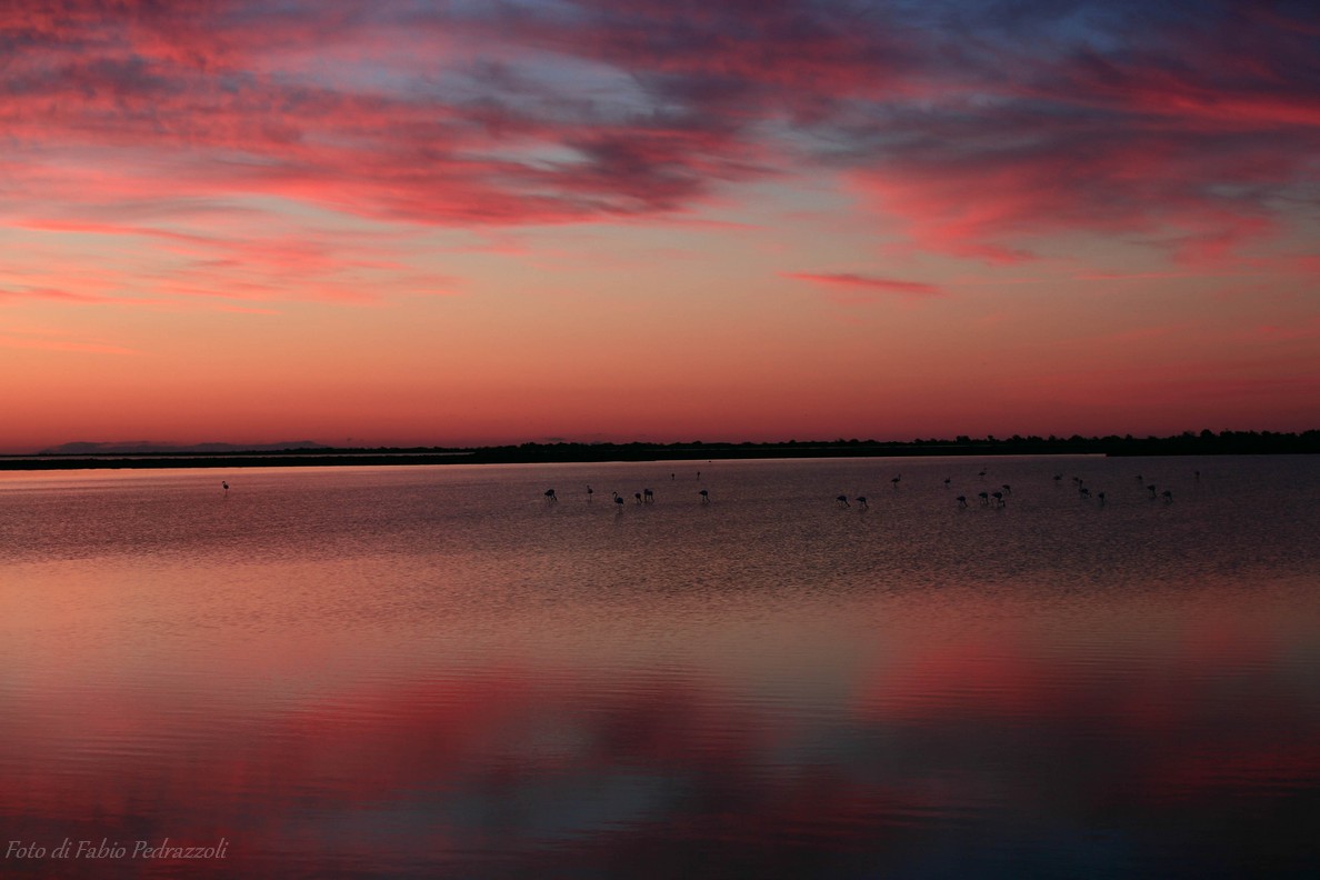Sunrise in Camargue