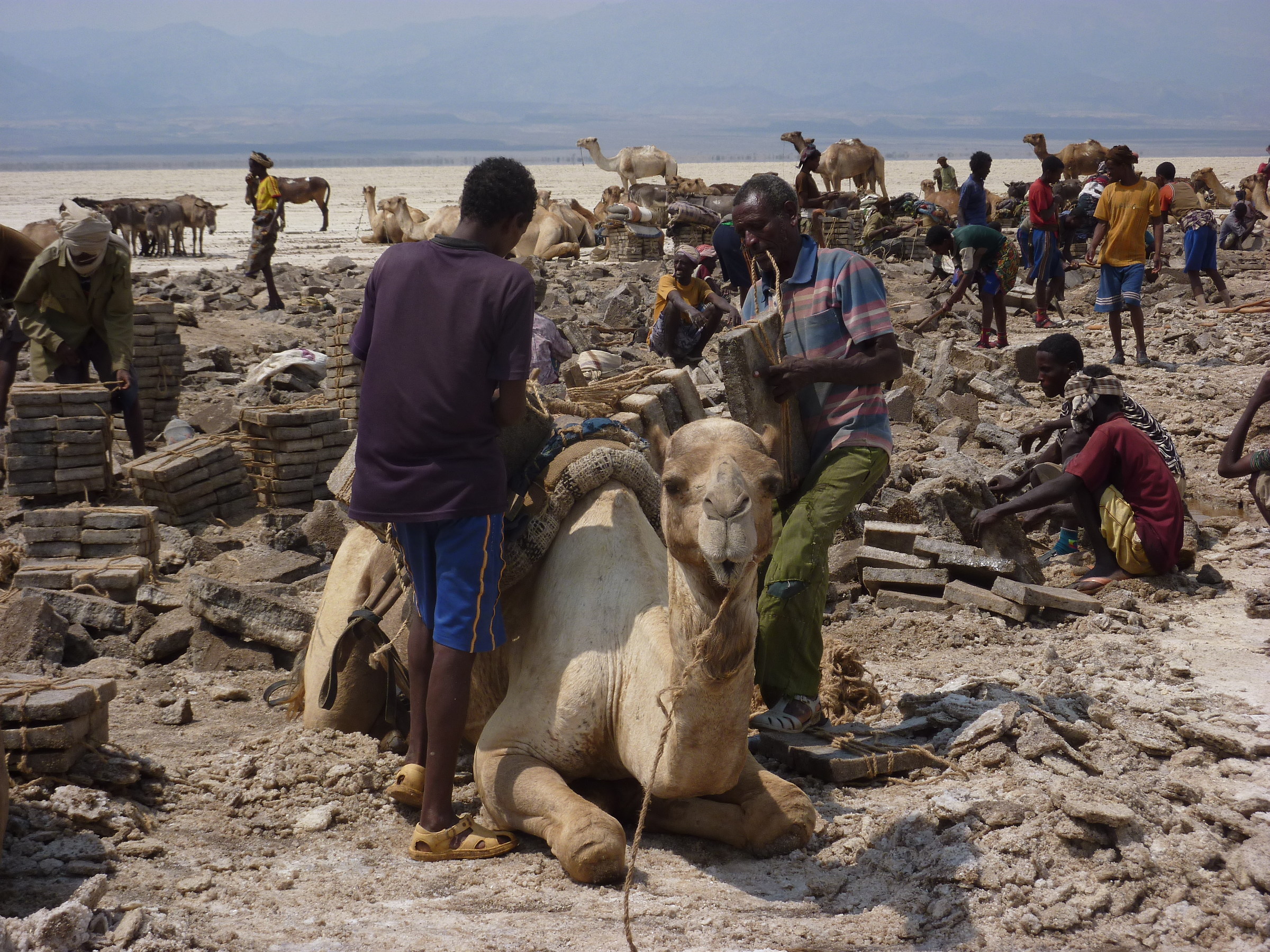 Salin del Dallol (Dancalia)