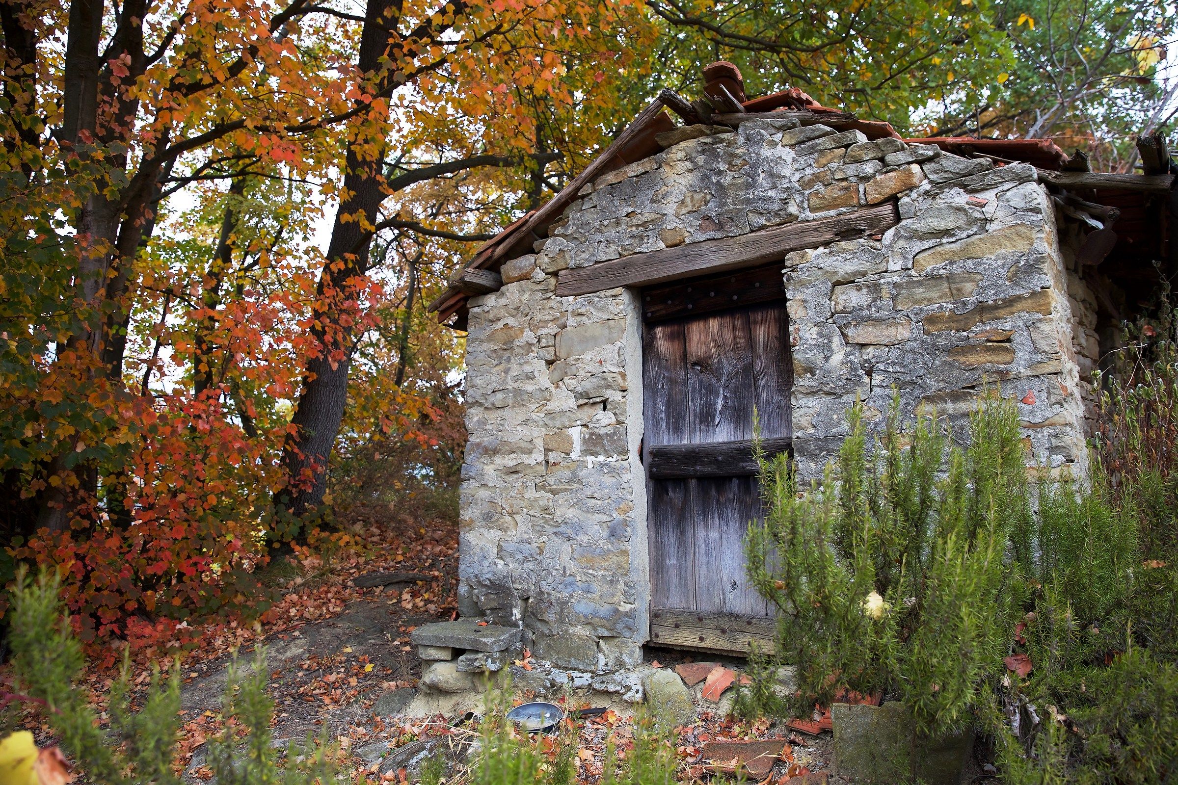 Ciabòt abbandonato, Bosia