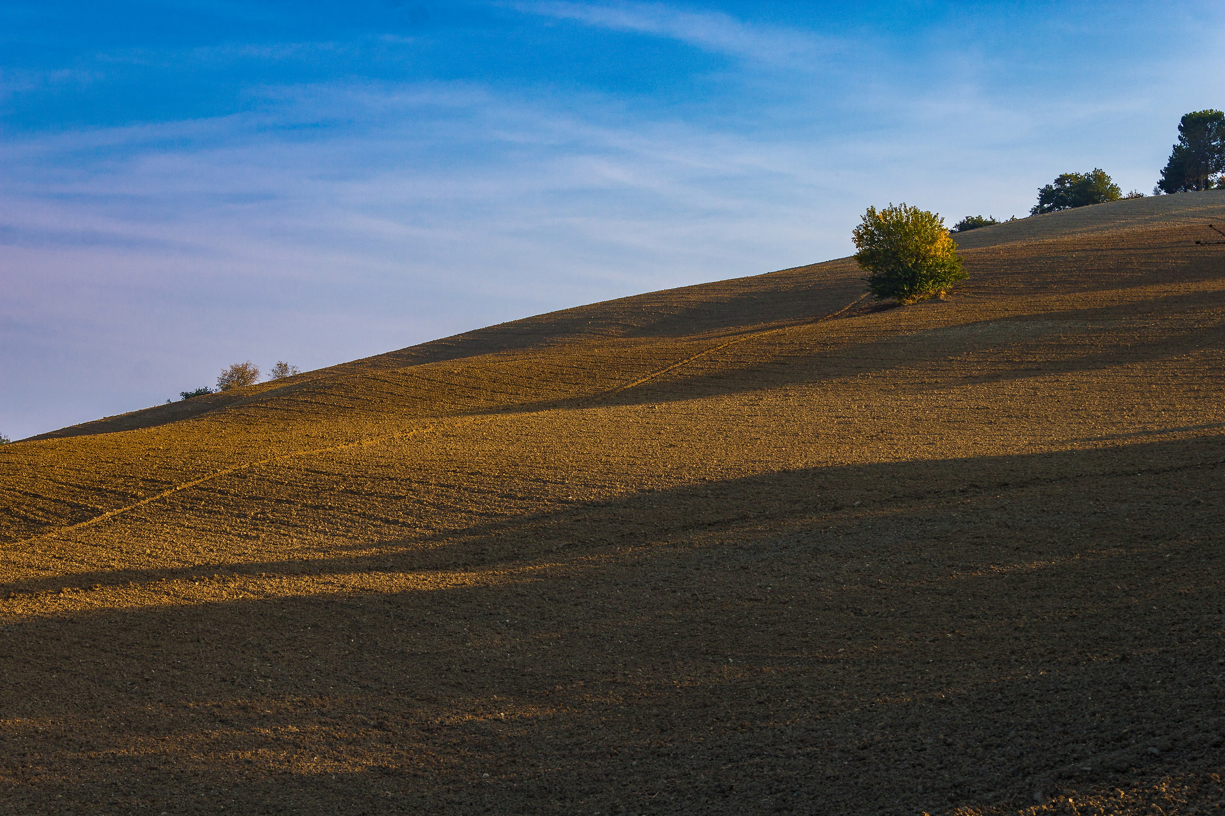 Le lunghe ombre del mattino