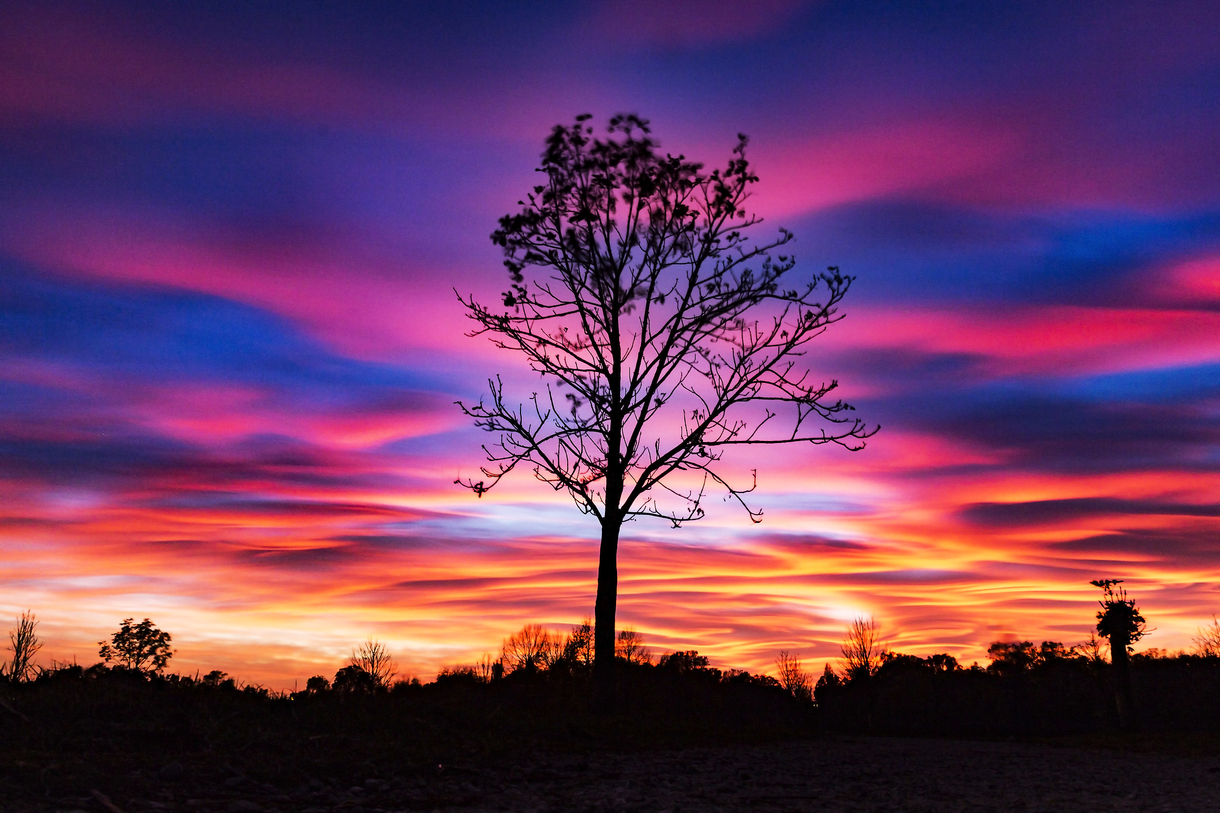 Amazing colors of sky