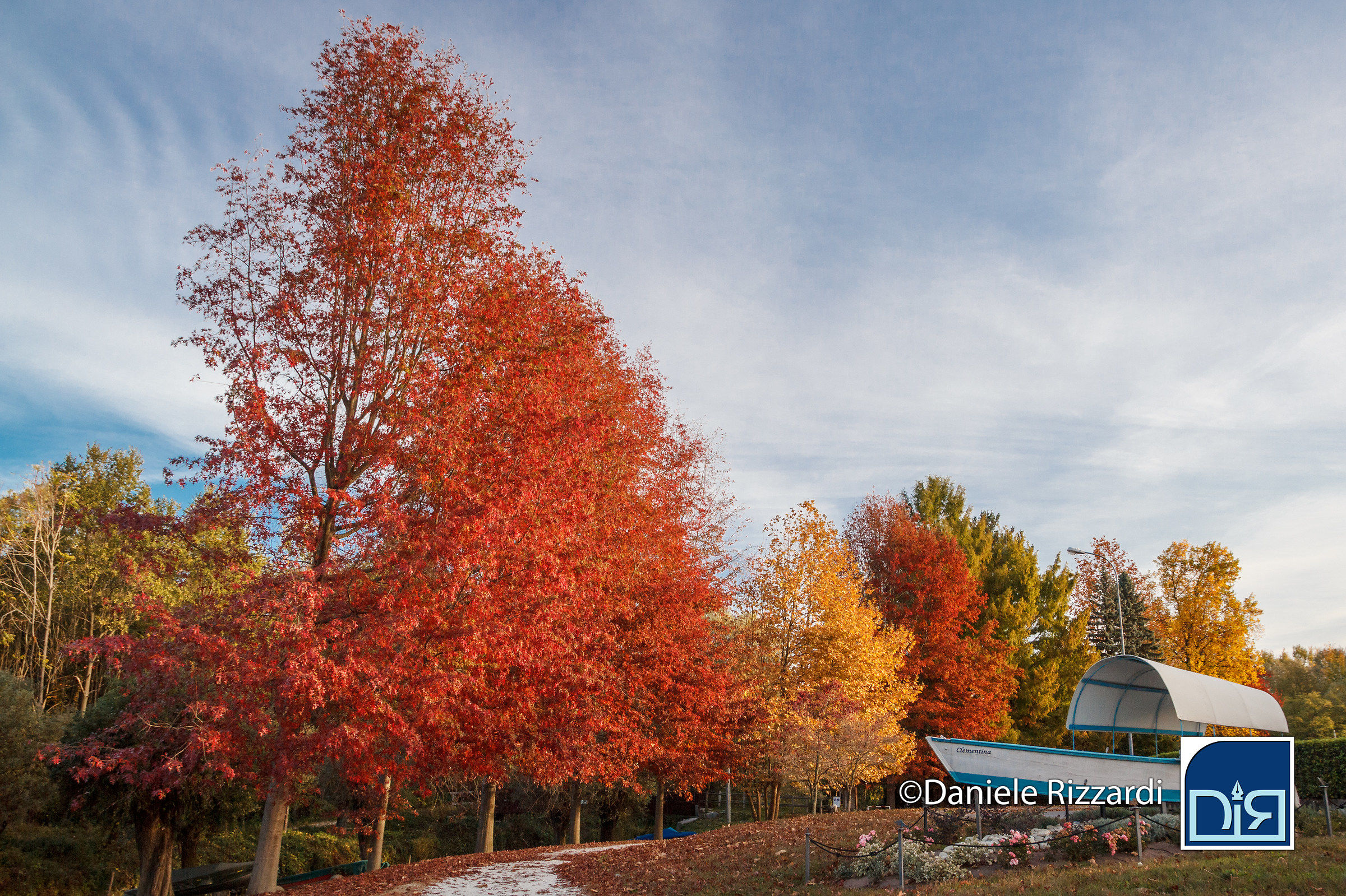 I colori dell'autunno