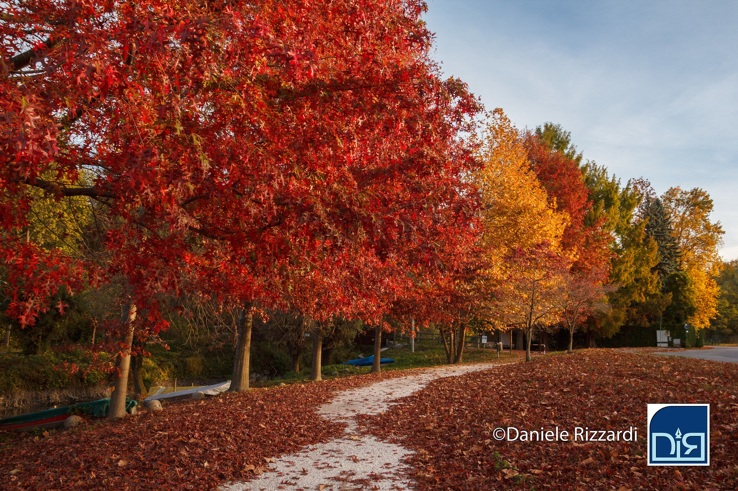 I colori dell'autunno