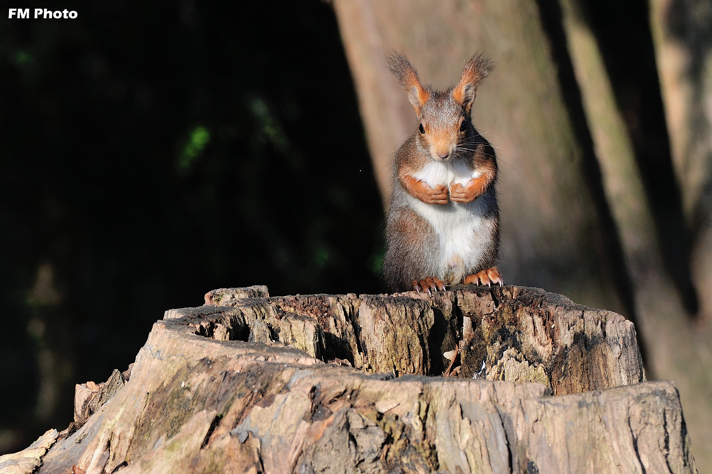 Attention Please !!!