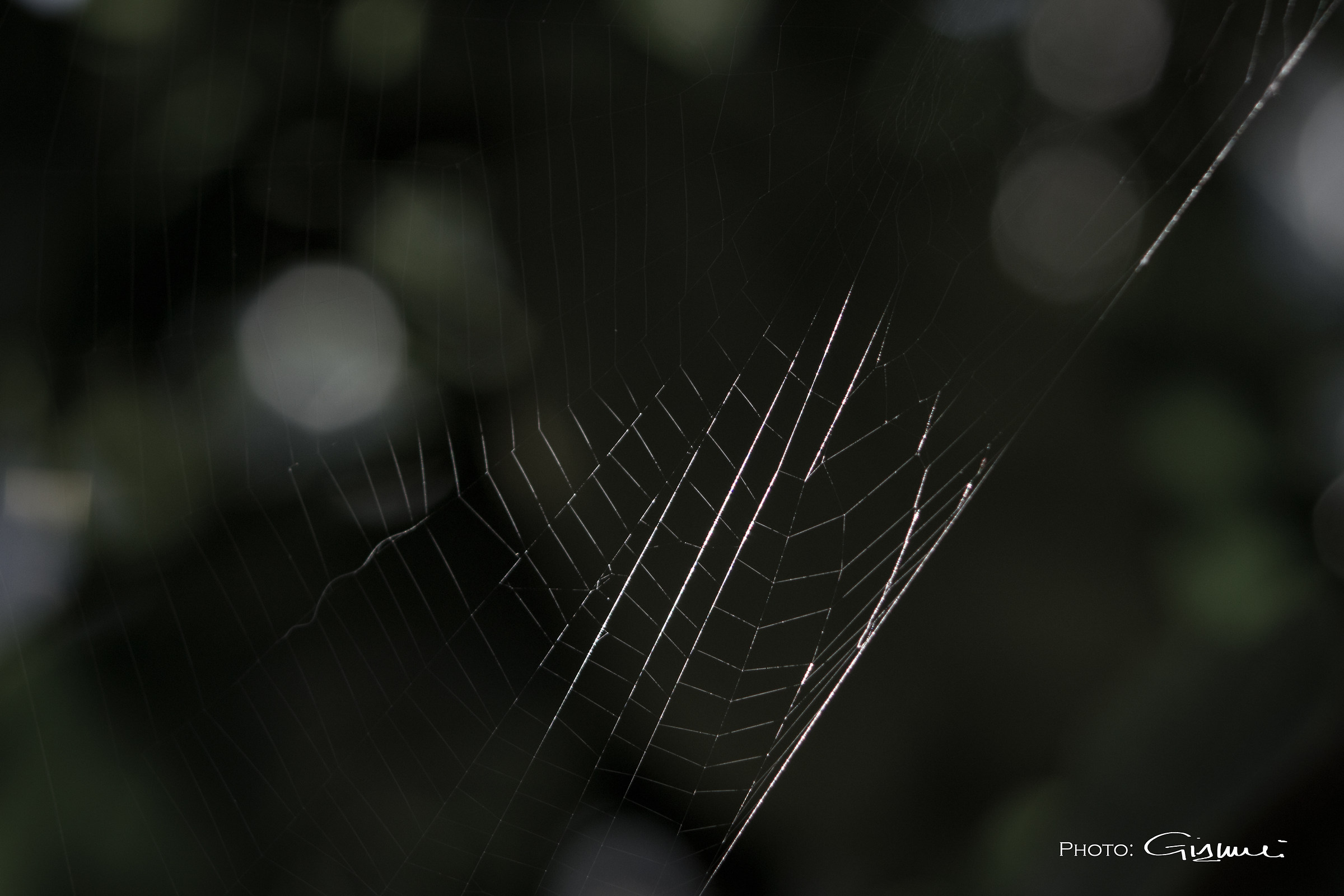 web
