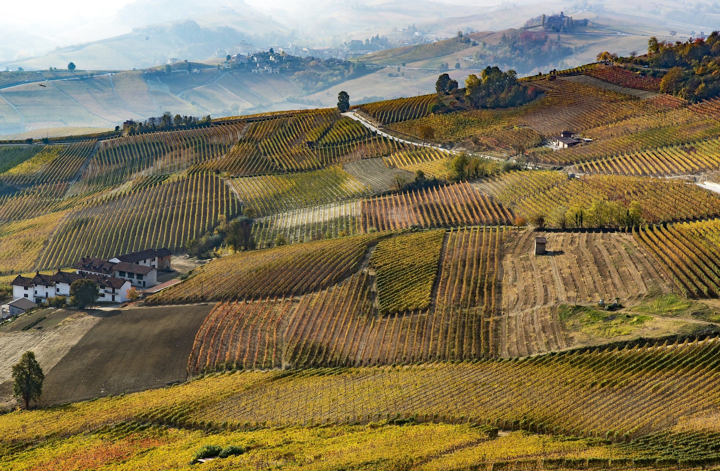 Autumn in the Langhe