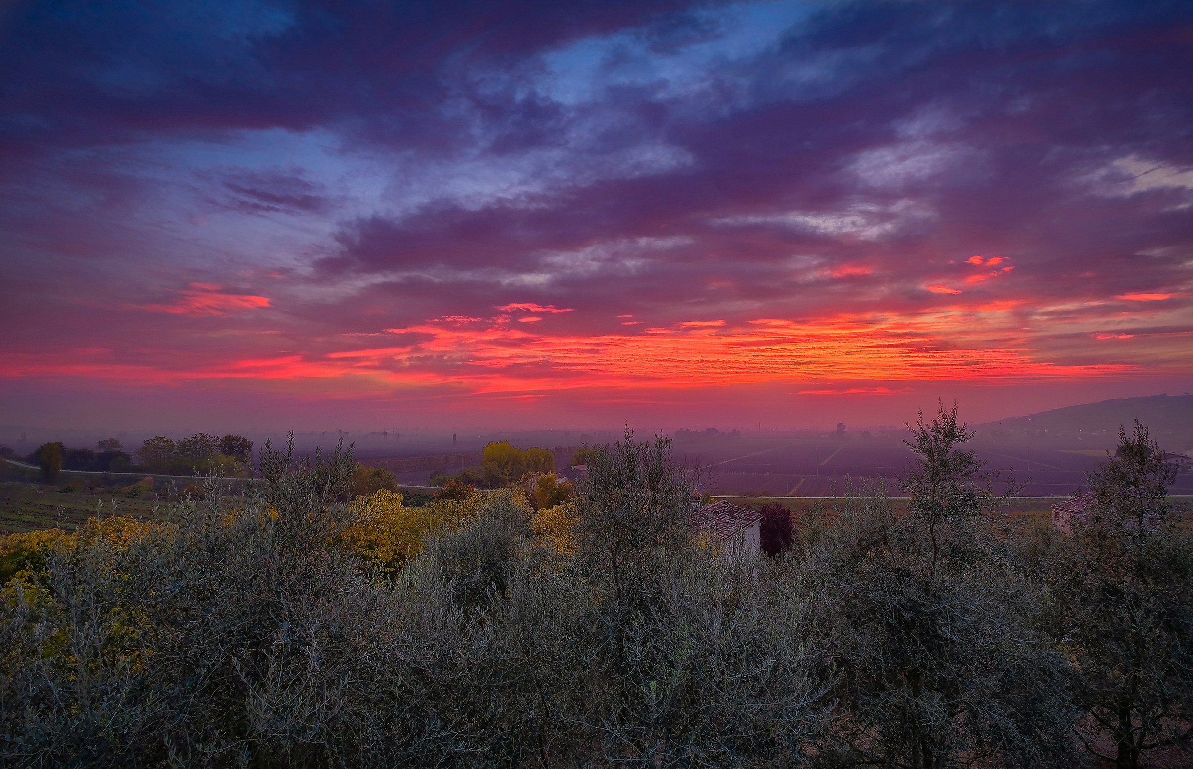 Tramonto tra gli ulivi