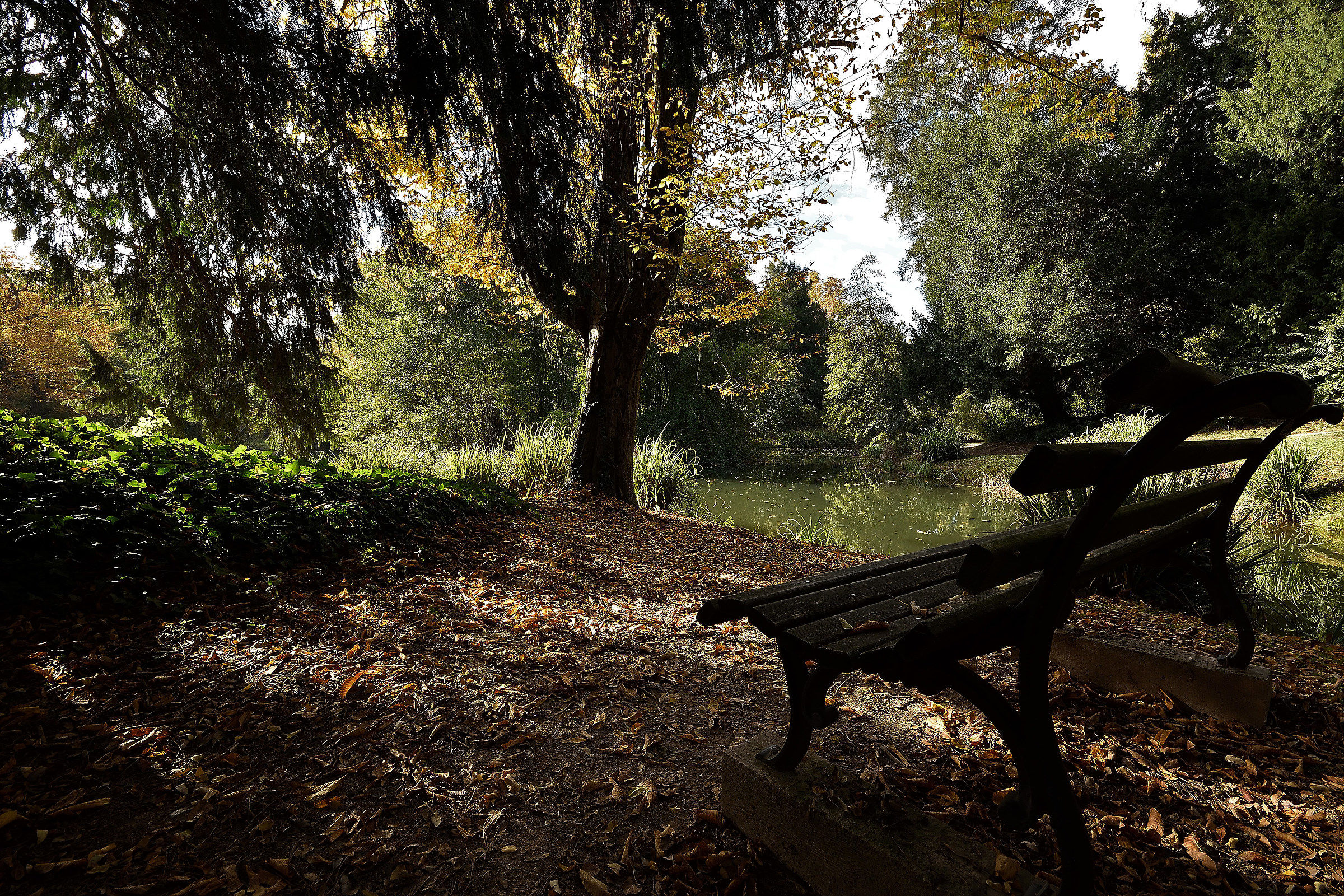 I will wait for your return every single holy day here