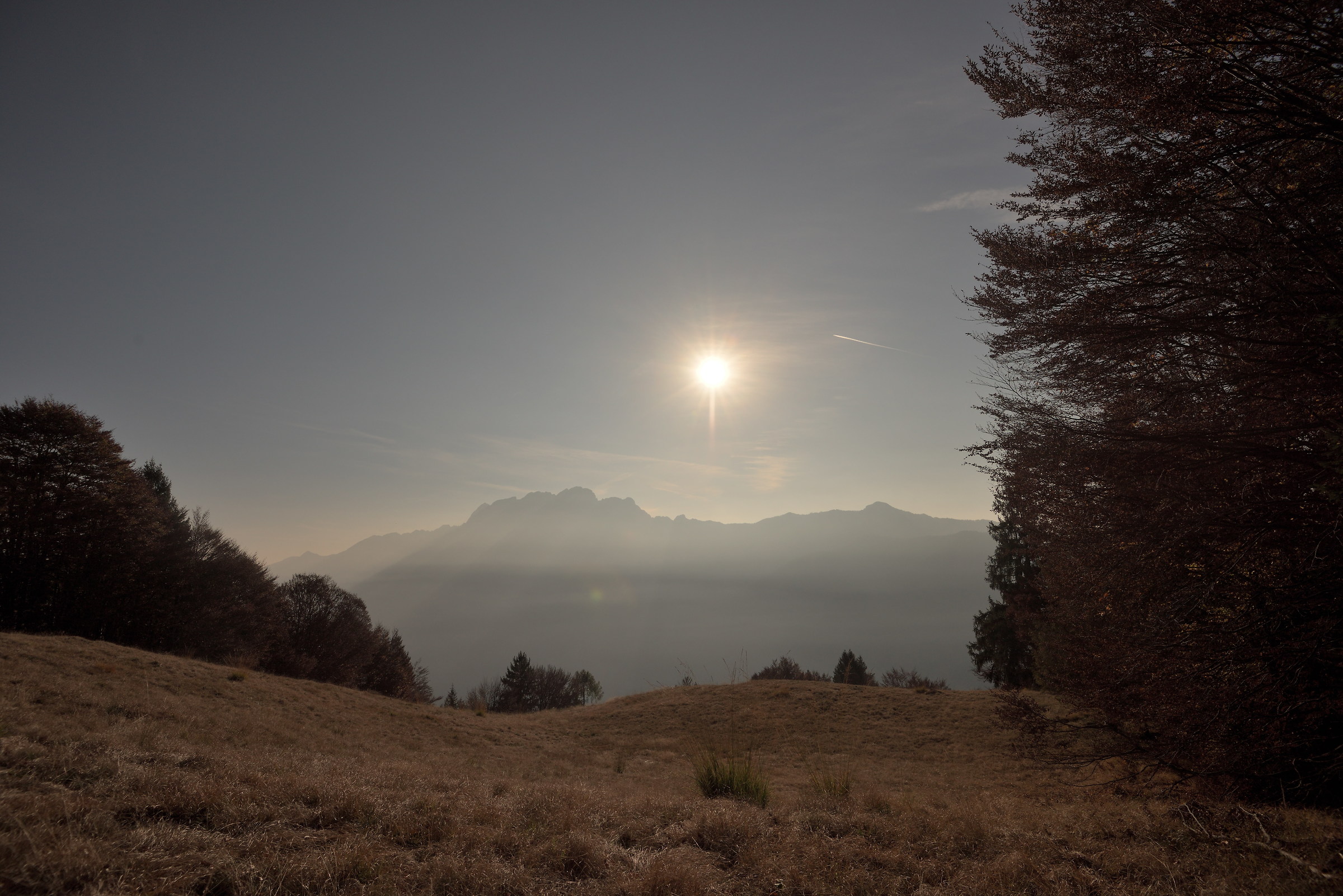 the invisible chin on the backlight
