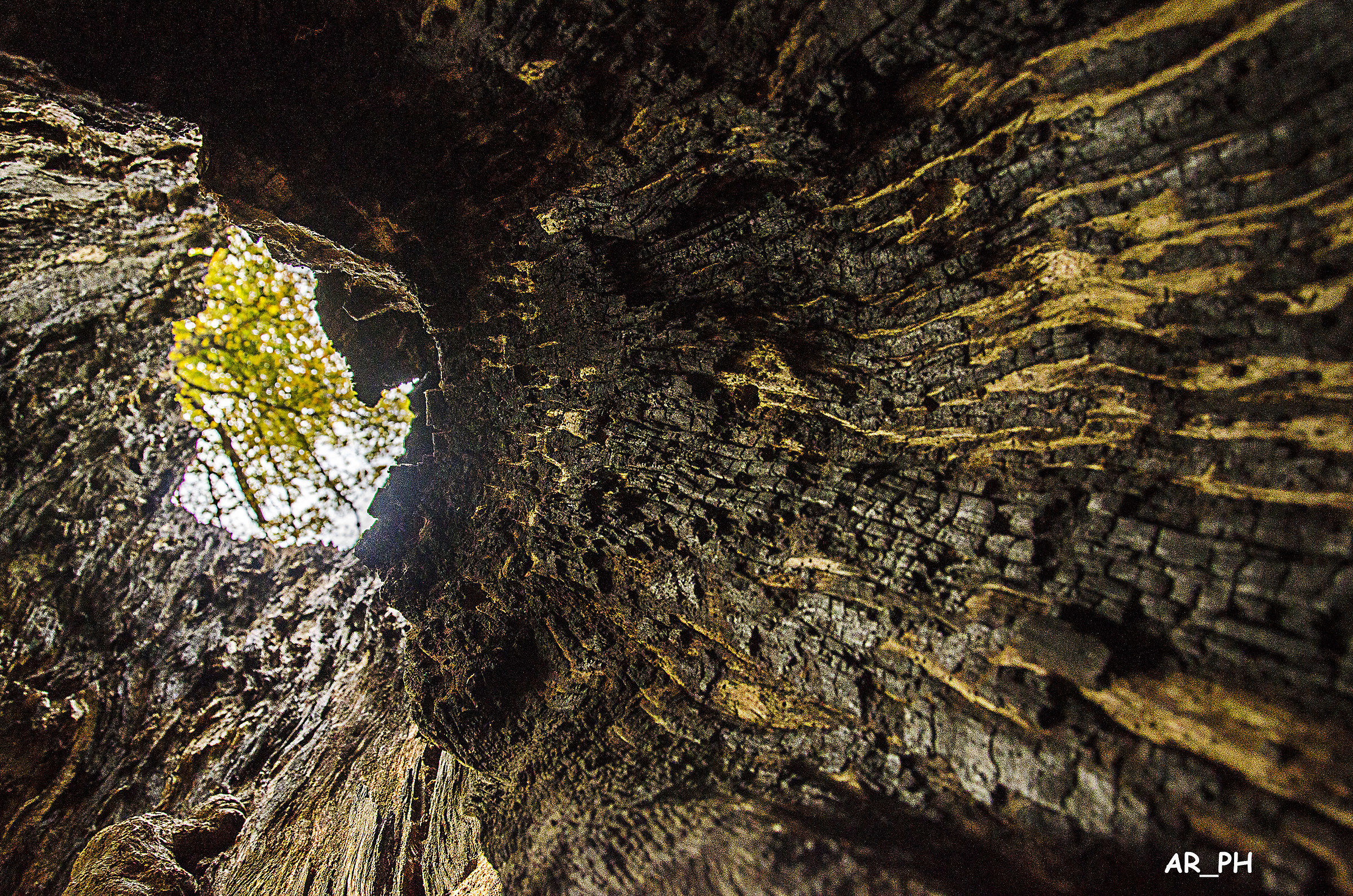 The power of lightning