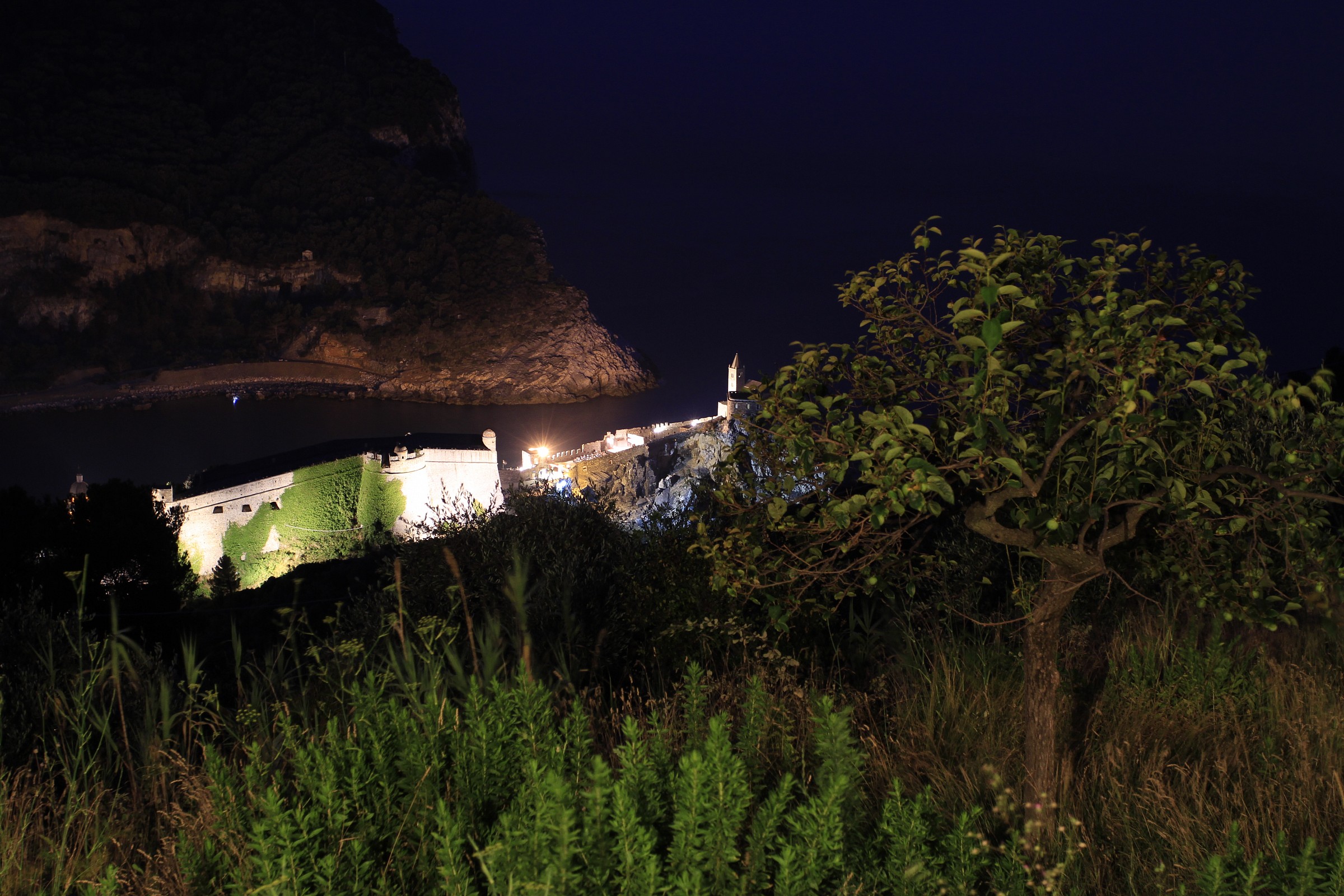 chiesa e castello di Portovenere dal mozzerone