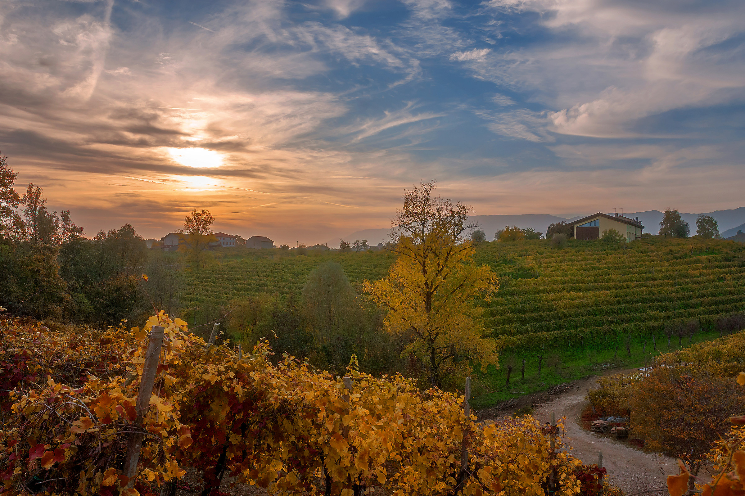 The vineyards of San. Giovanni Valdobbiadene