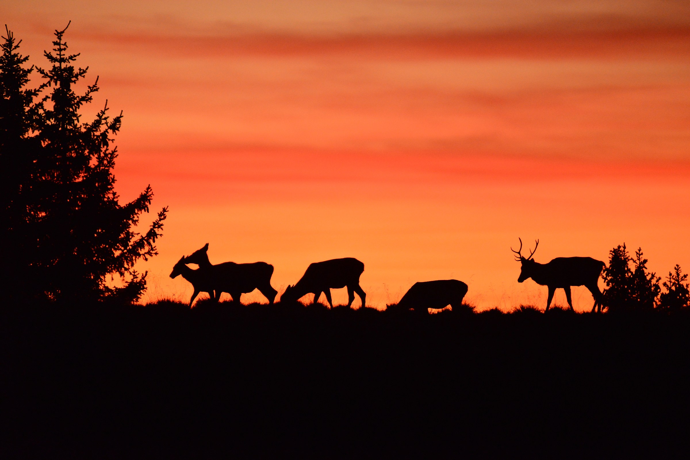passaggio al tramonto