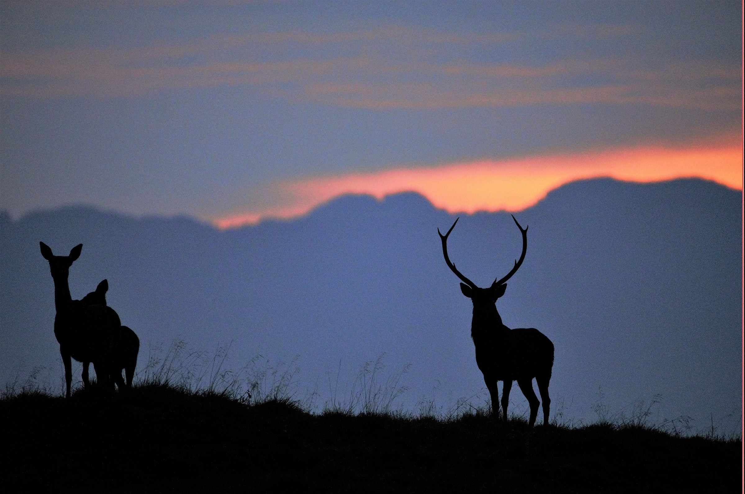ultimo raggio all'orizzonte