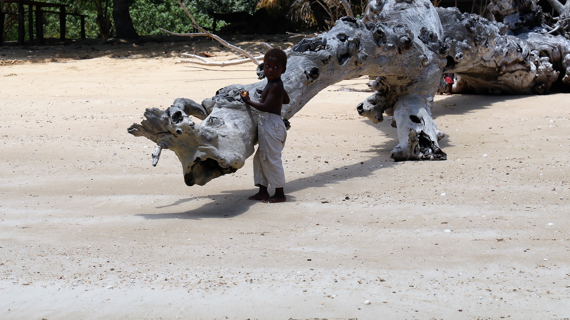 The tenderness-Nosy Be-Madagascar