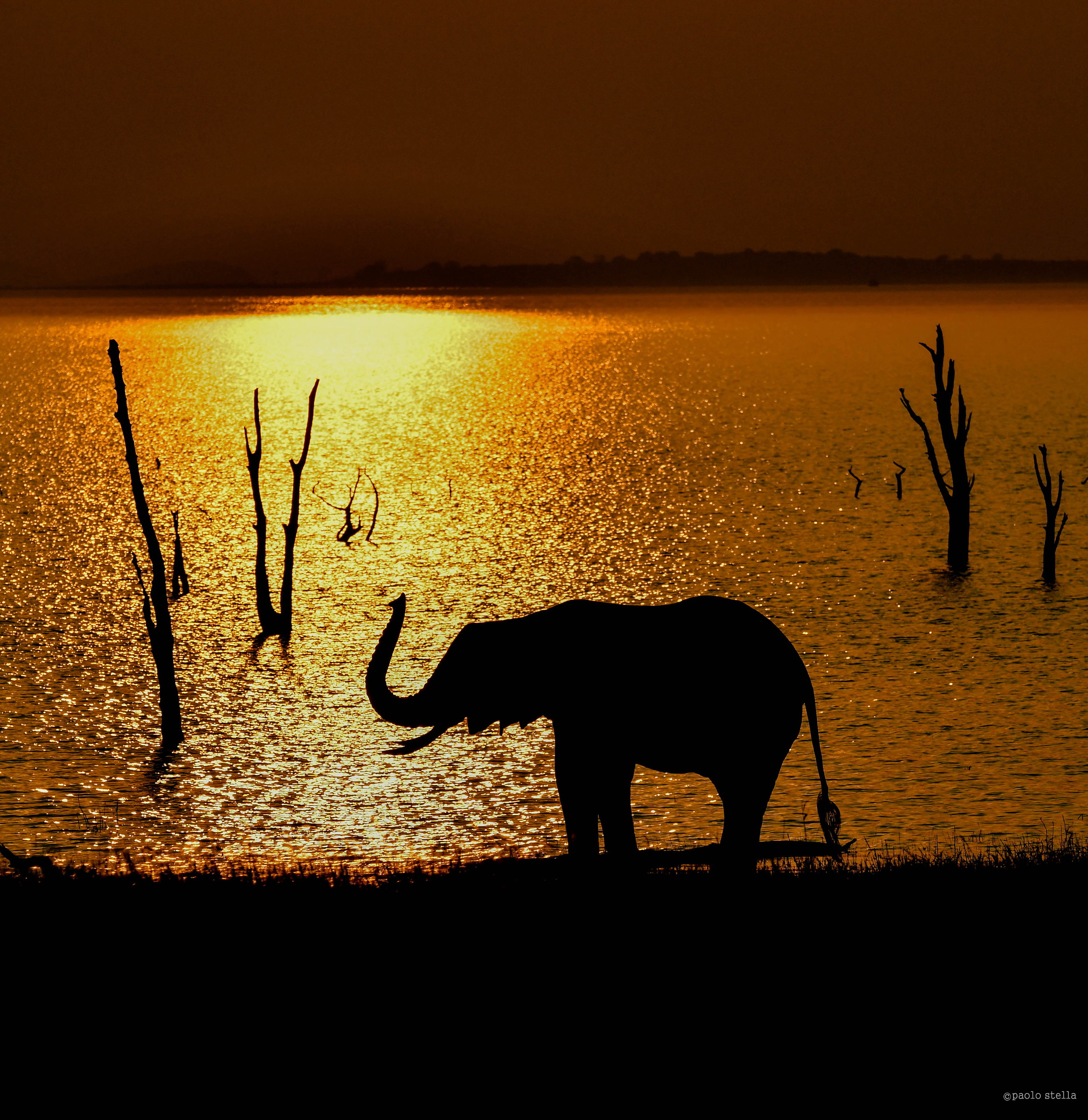 the greeting in the sun setting