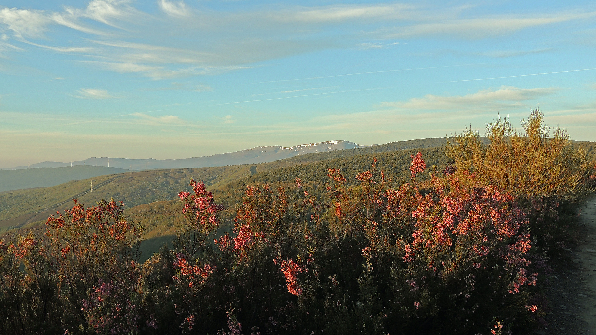 The Cordillera Cantabrica