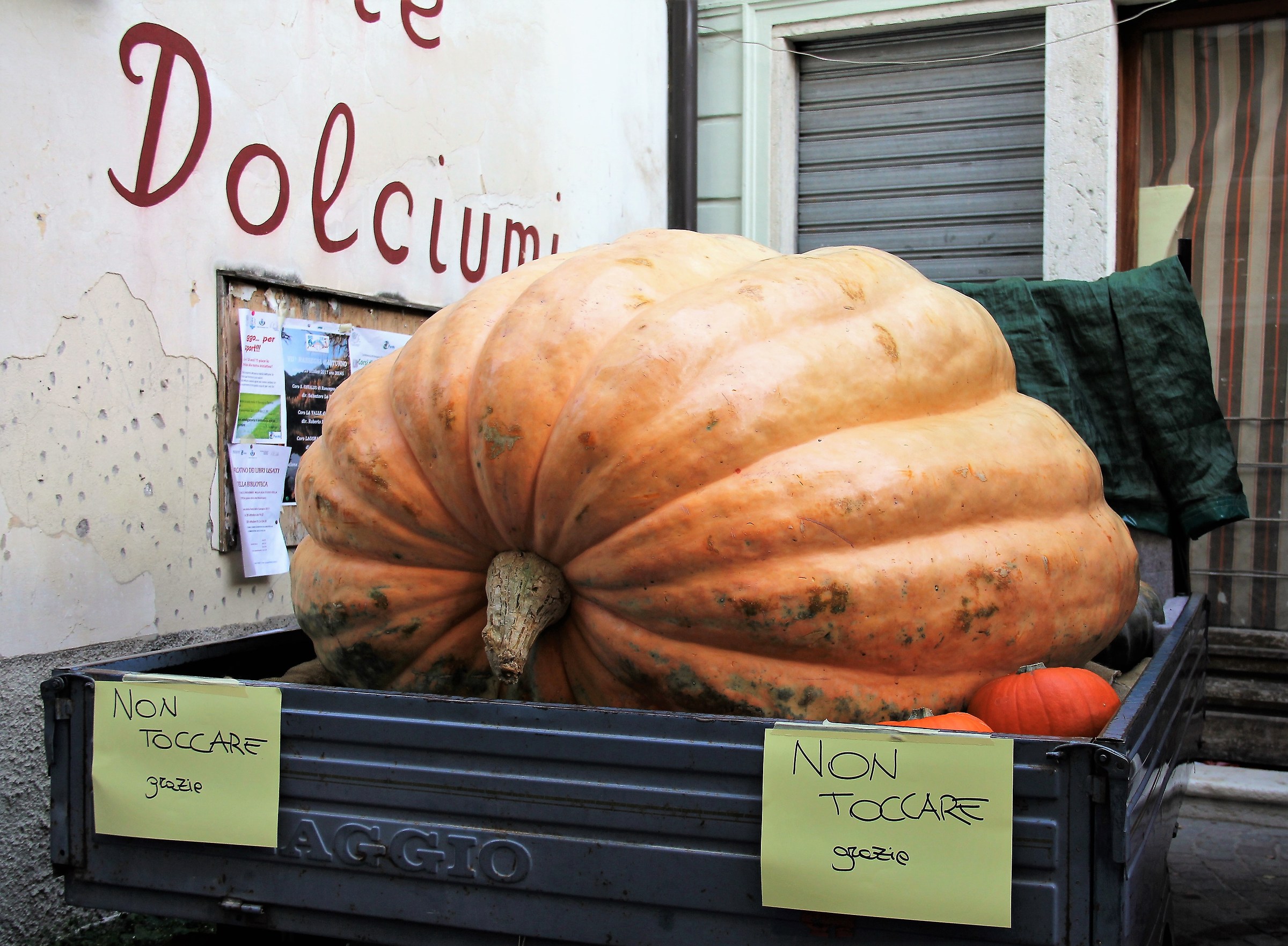 Good Halloween at all and ..... not touched!