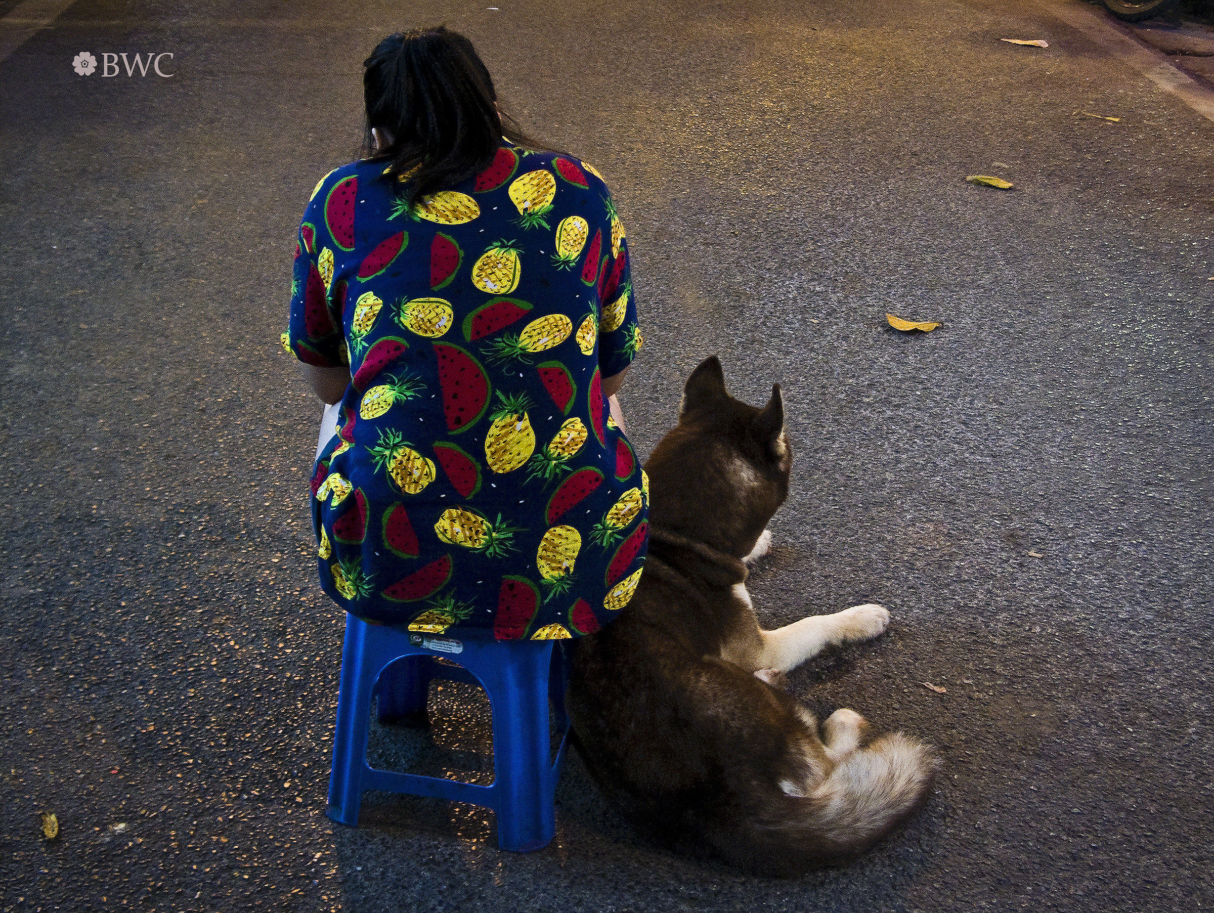 Sad Girl Sitting In The Middle Of A Road With Her Dog