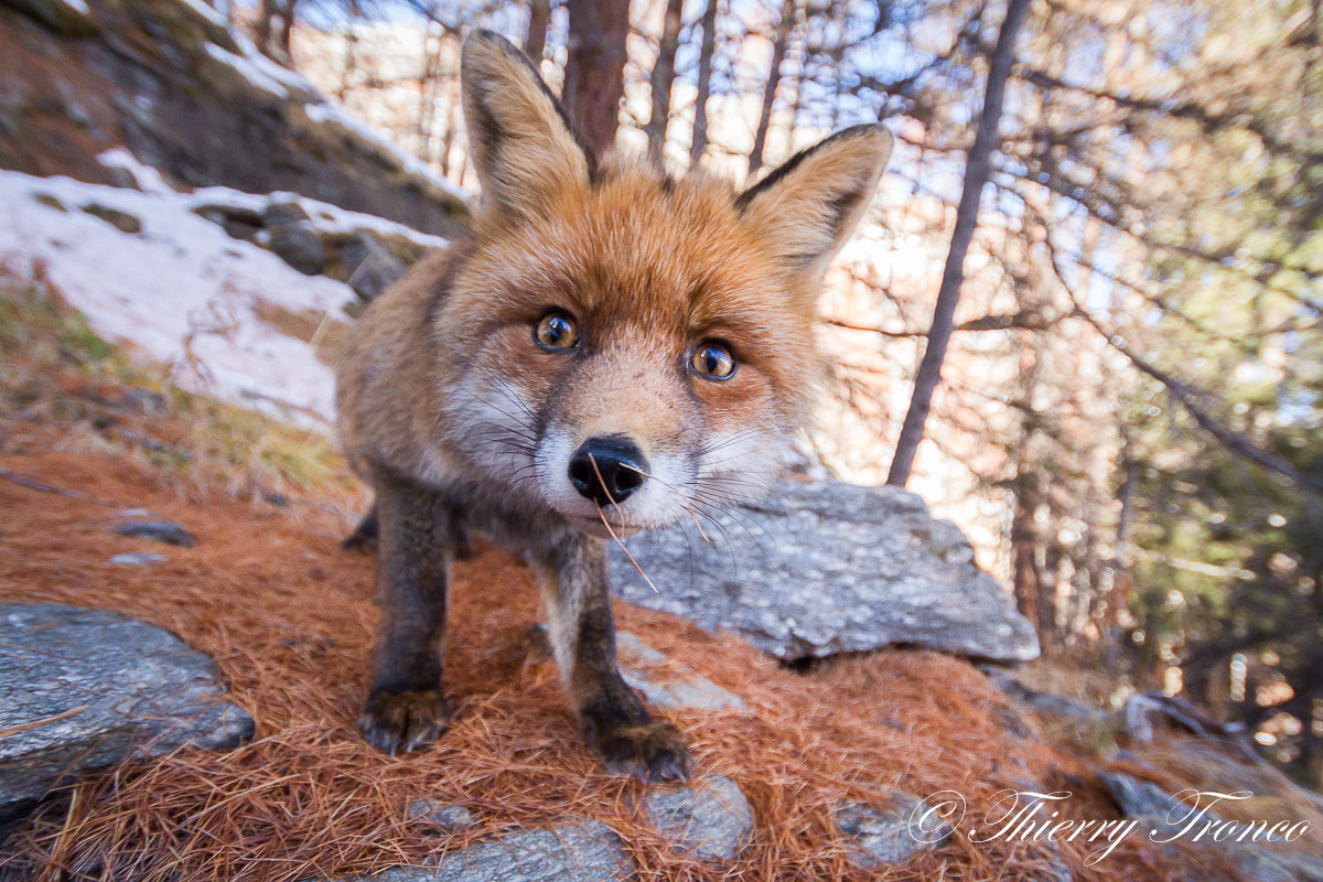 Hai qualcosa sul naso...