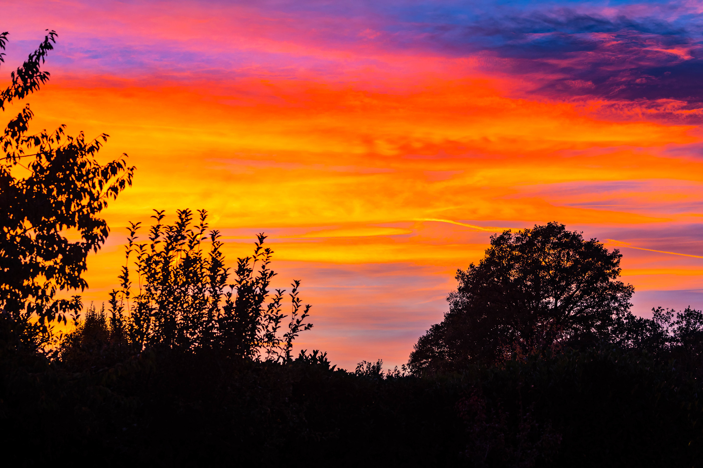 #tramonto October 29, 2017