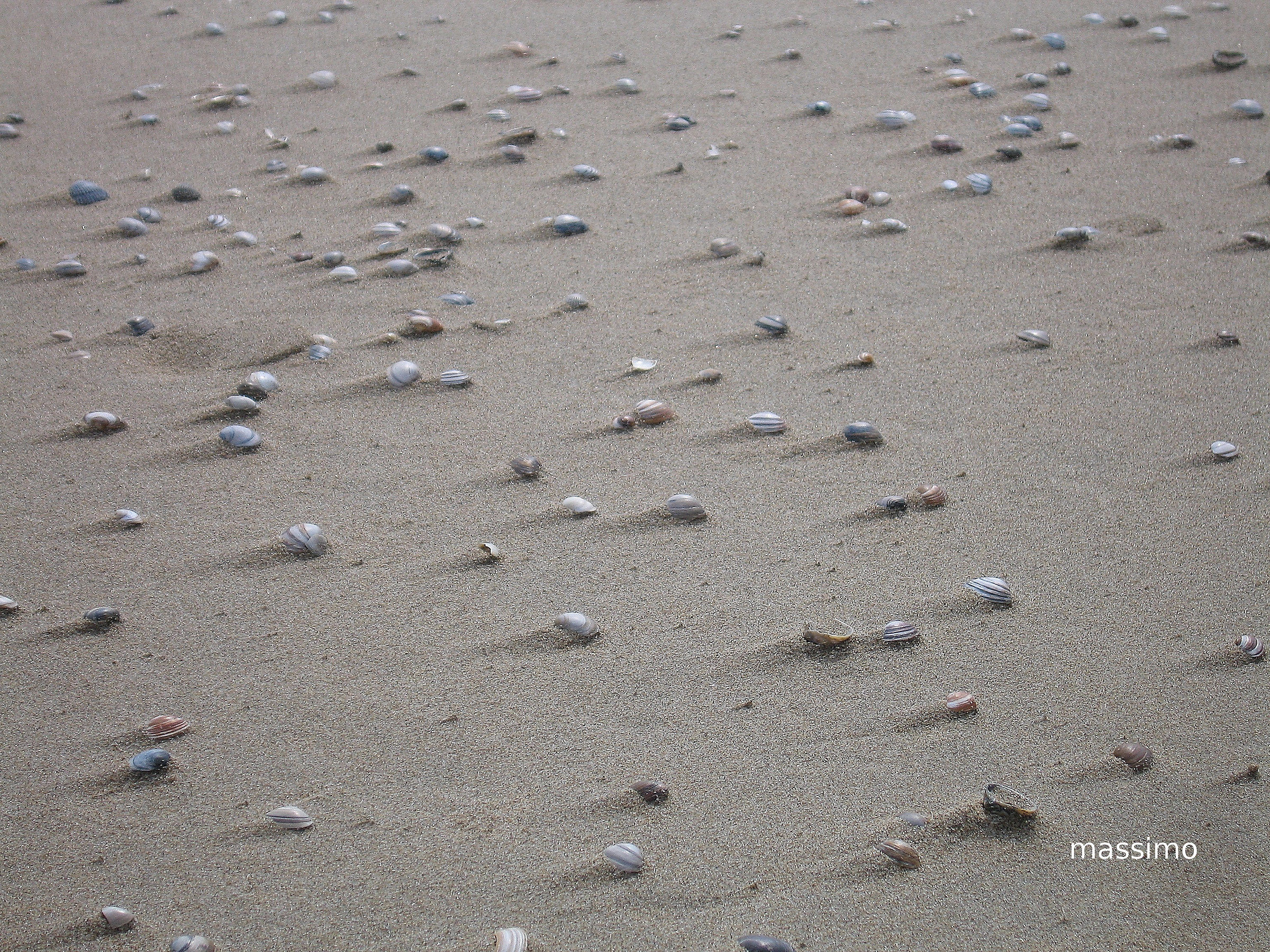 spiaggia in una giornata ventosa