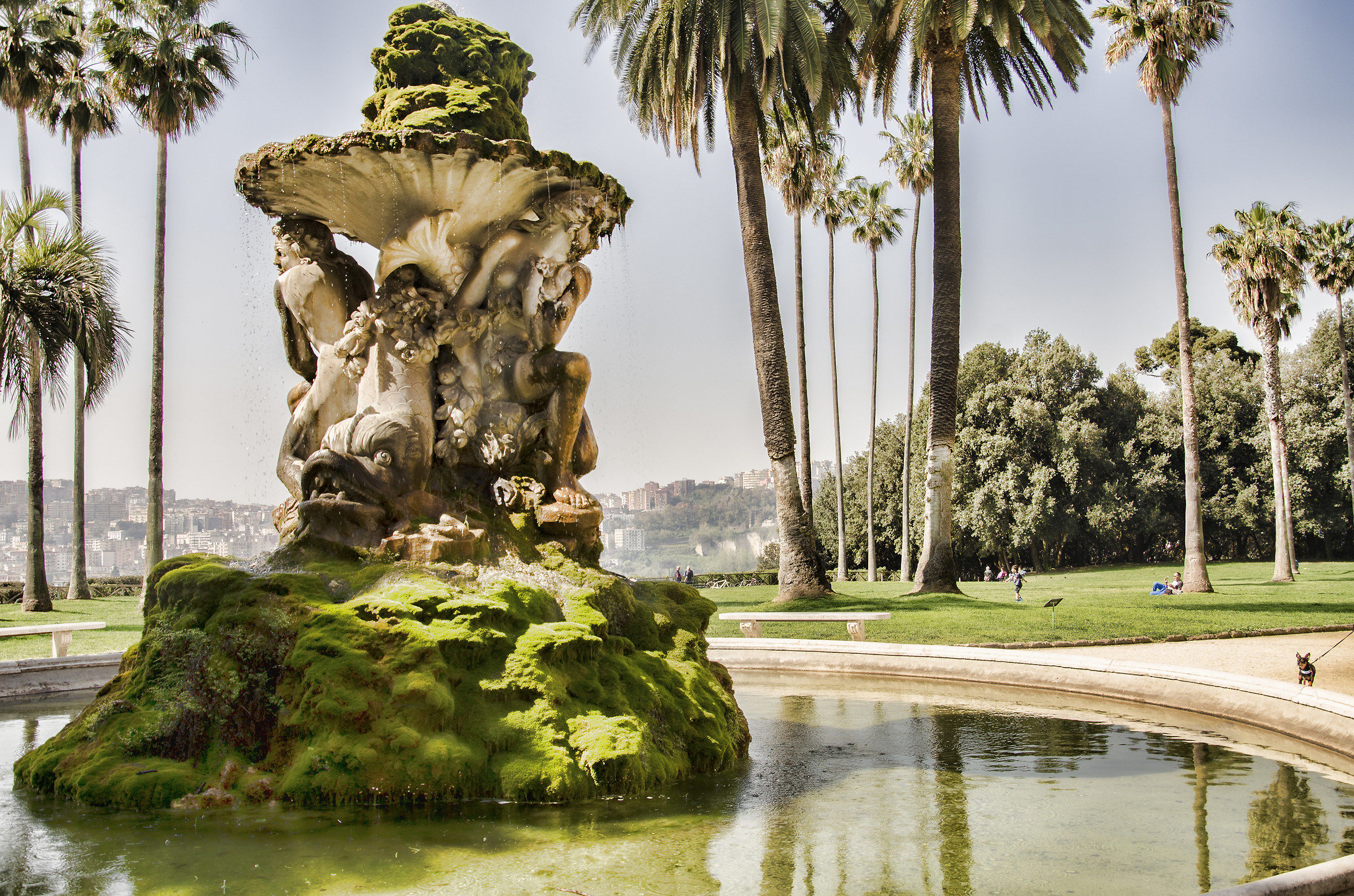 fontana real bosco di capodimonte