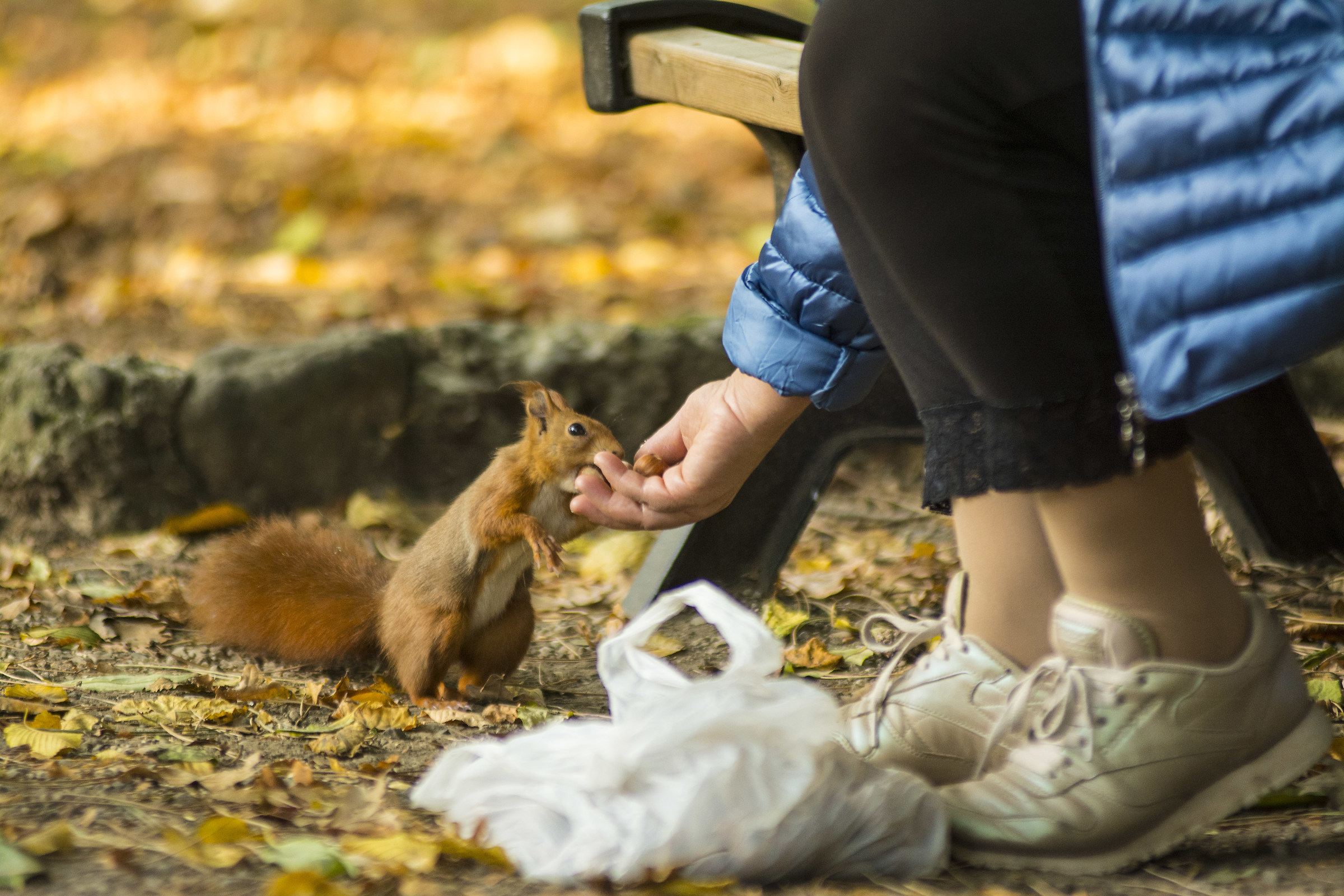 ..... come e' umana lei!