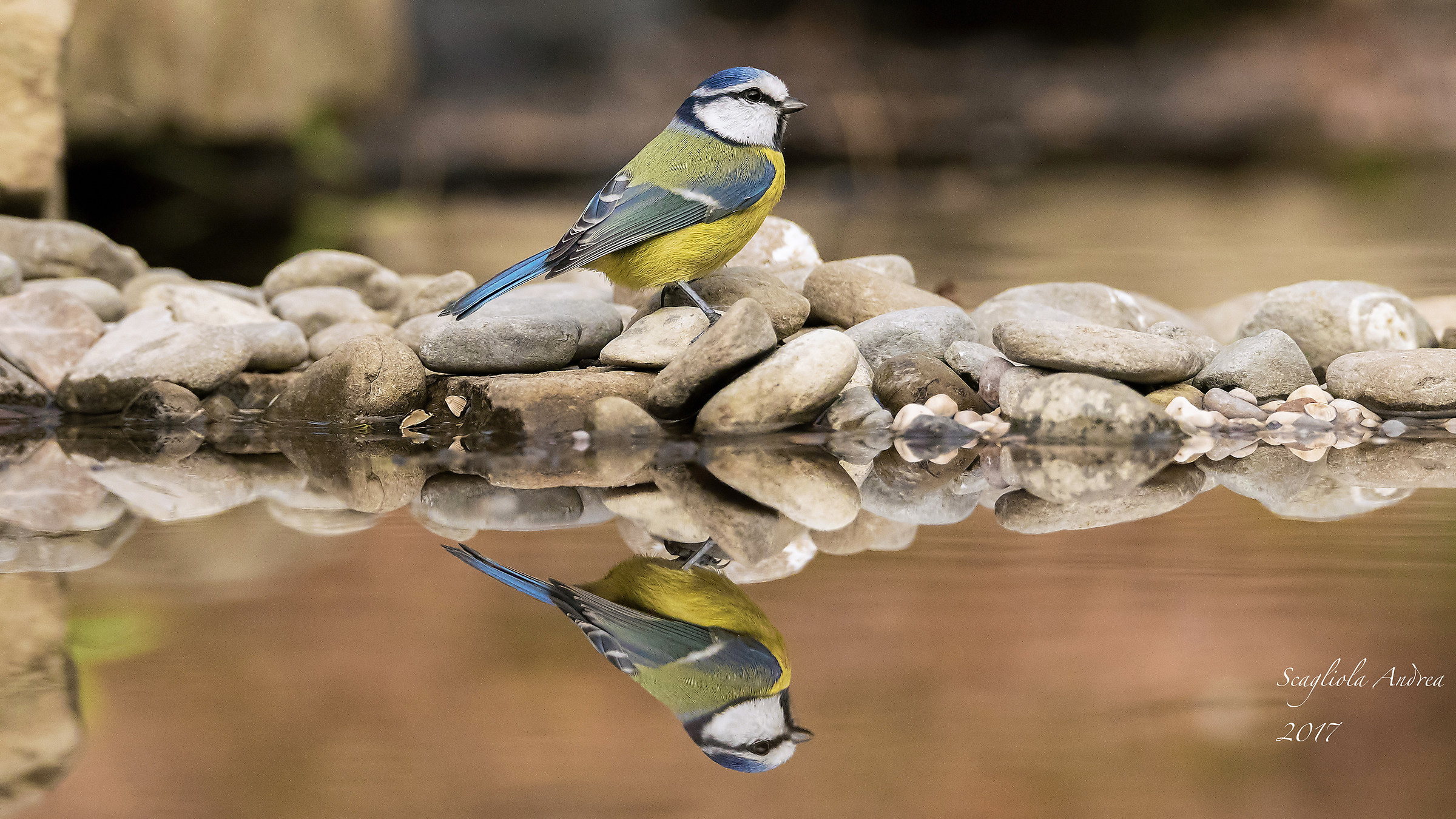 Vanitosa allo specchio